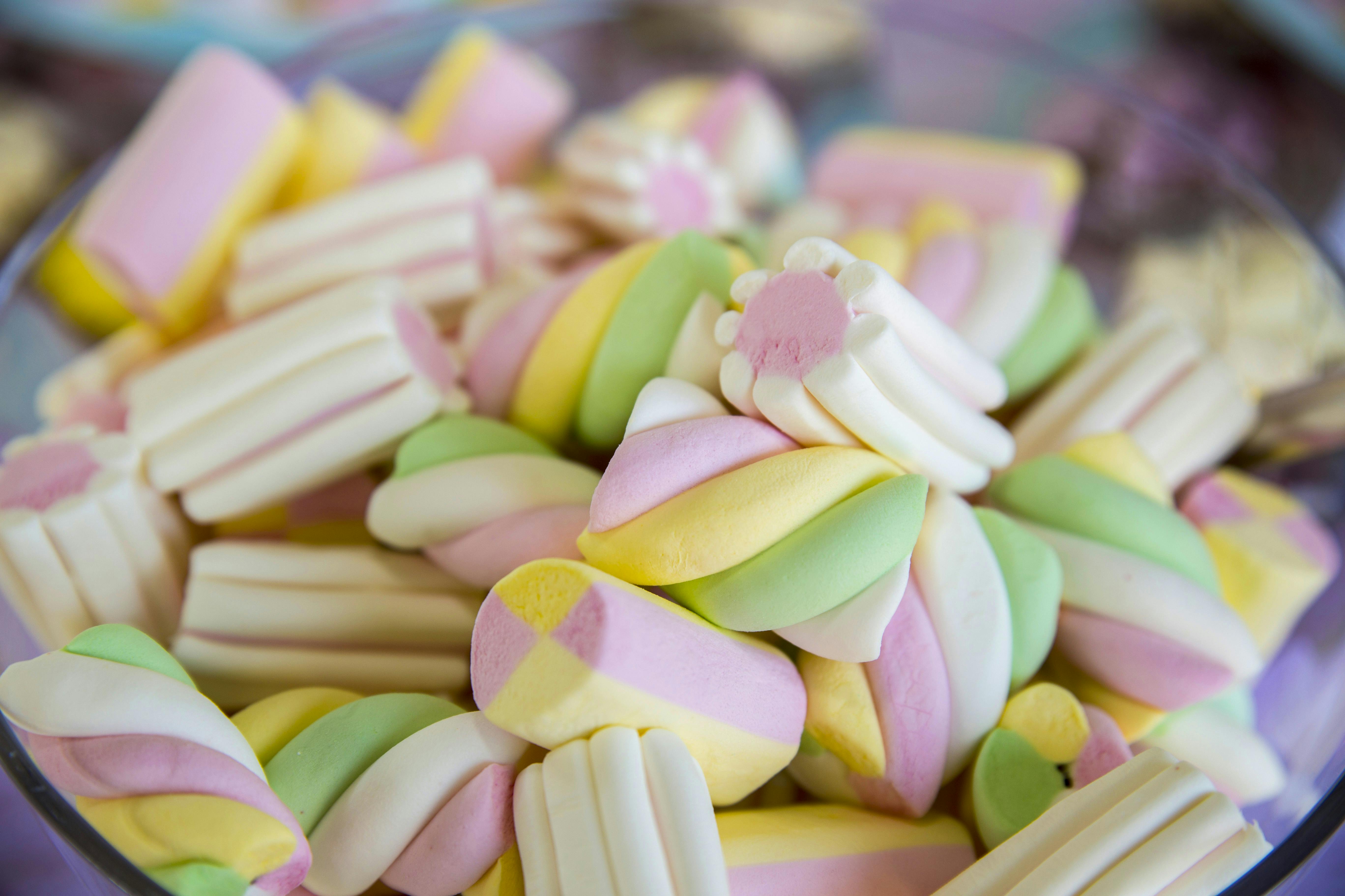 Close-Up Photo of Marshmallows in Bowl · Free Stock Photo