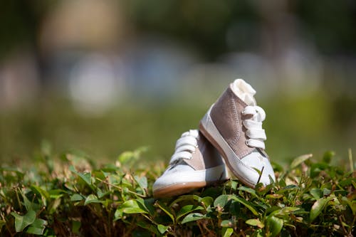 Free Baby Booties on Leaves Stock Photo