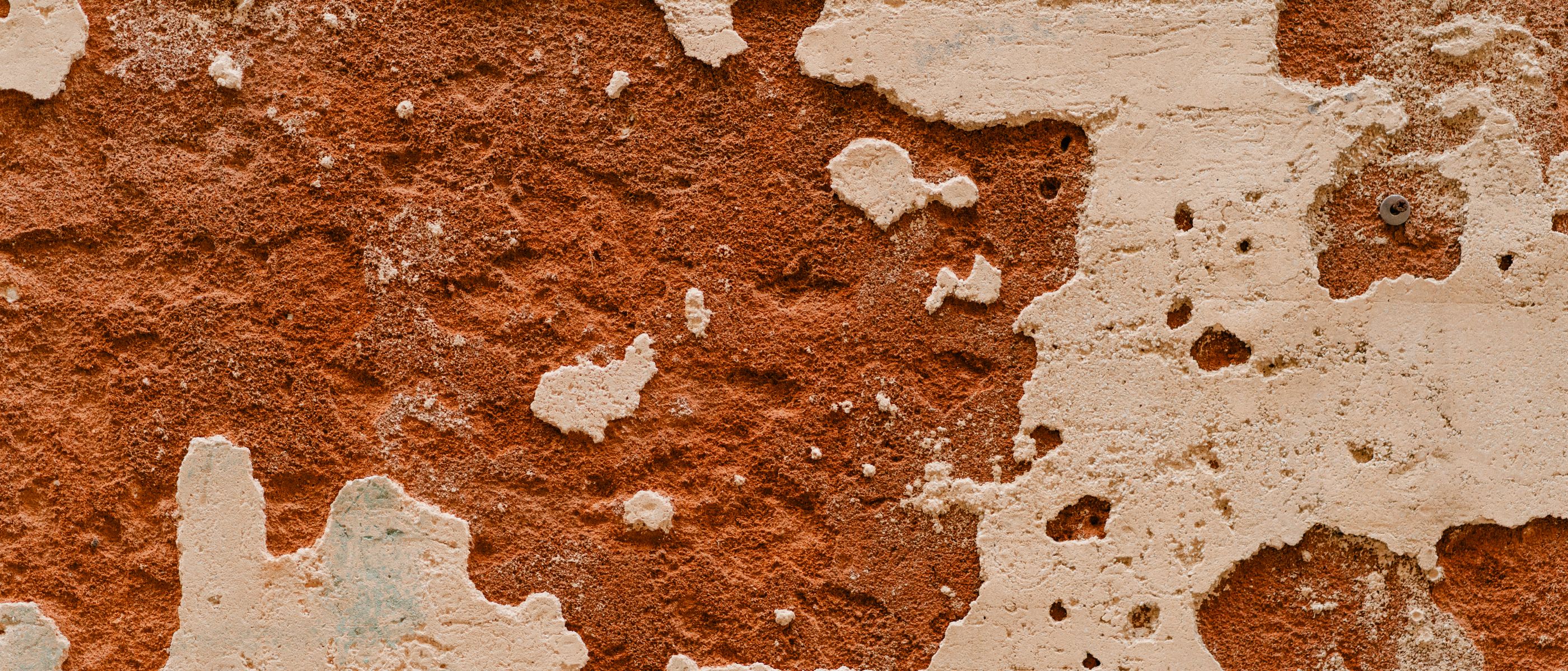 Plastering and Skimming in Northumberland Park — woodwork brushed to a crisp, smooth line