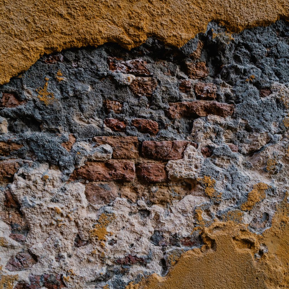 Painters and Decorators in Nunhead — woodwork brushed to a crisp, smooth line