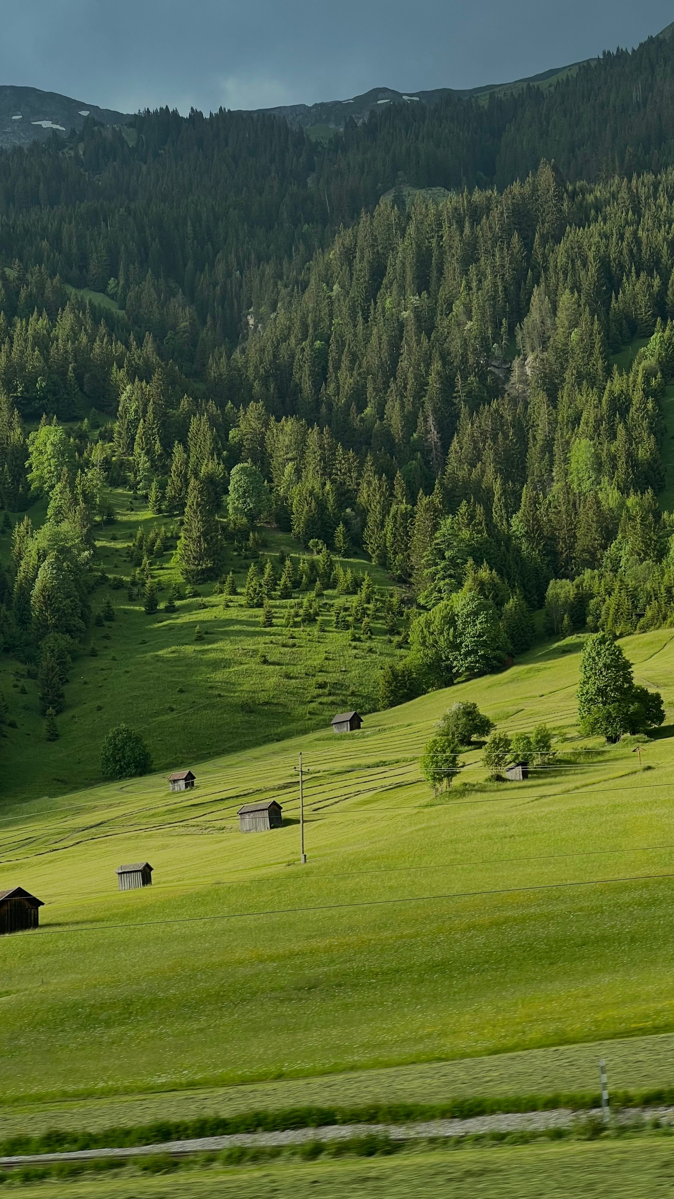 Peaceful alpine meadow at daytime with scattered wooden cabins and lush greenery, perfect for nature enthusiasts.