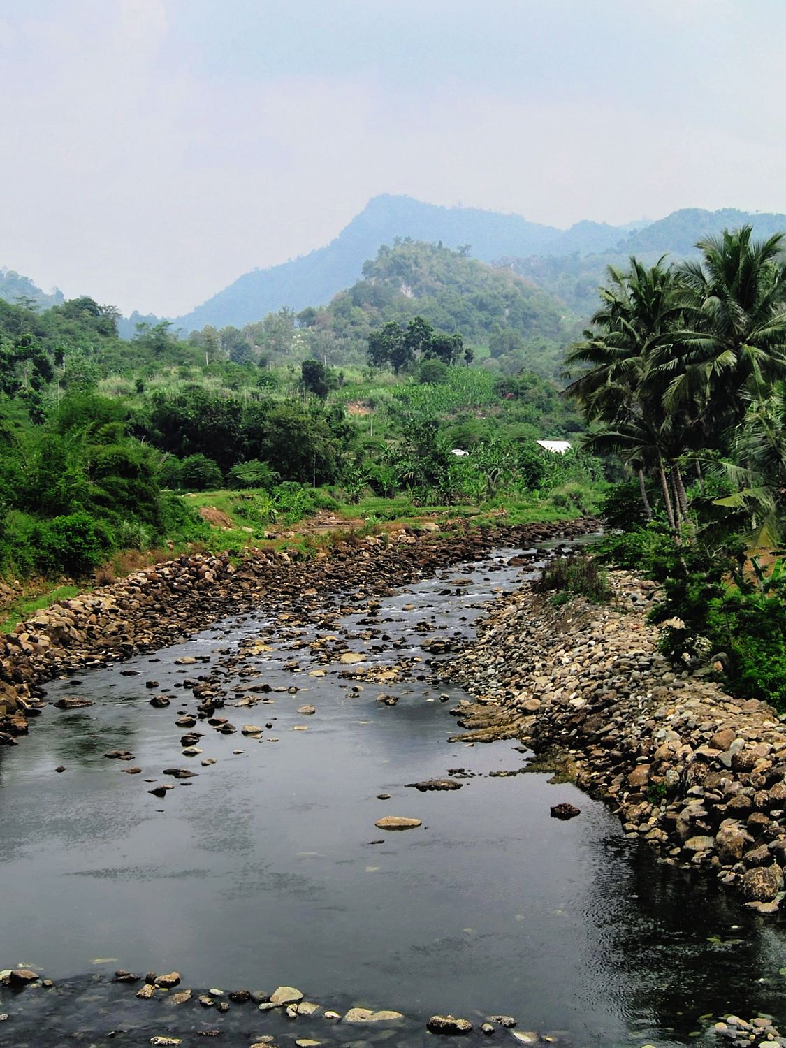 Scenic River in Lush West Java Landscape · Free Stock Photo