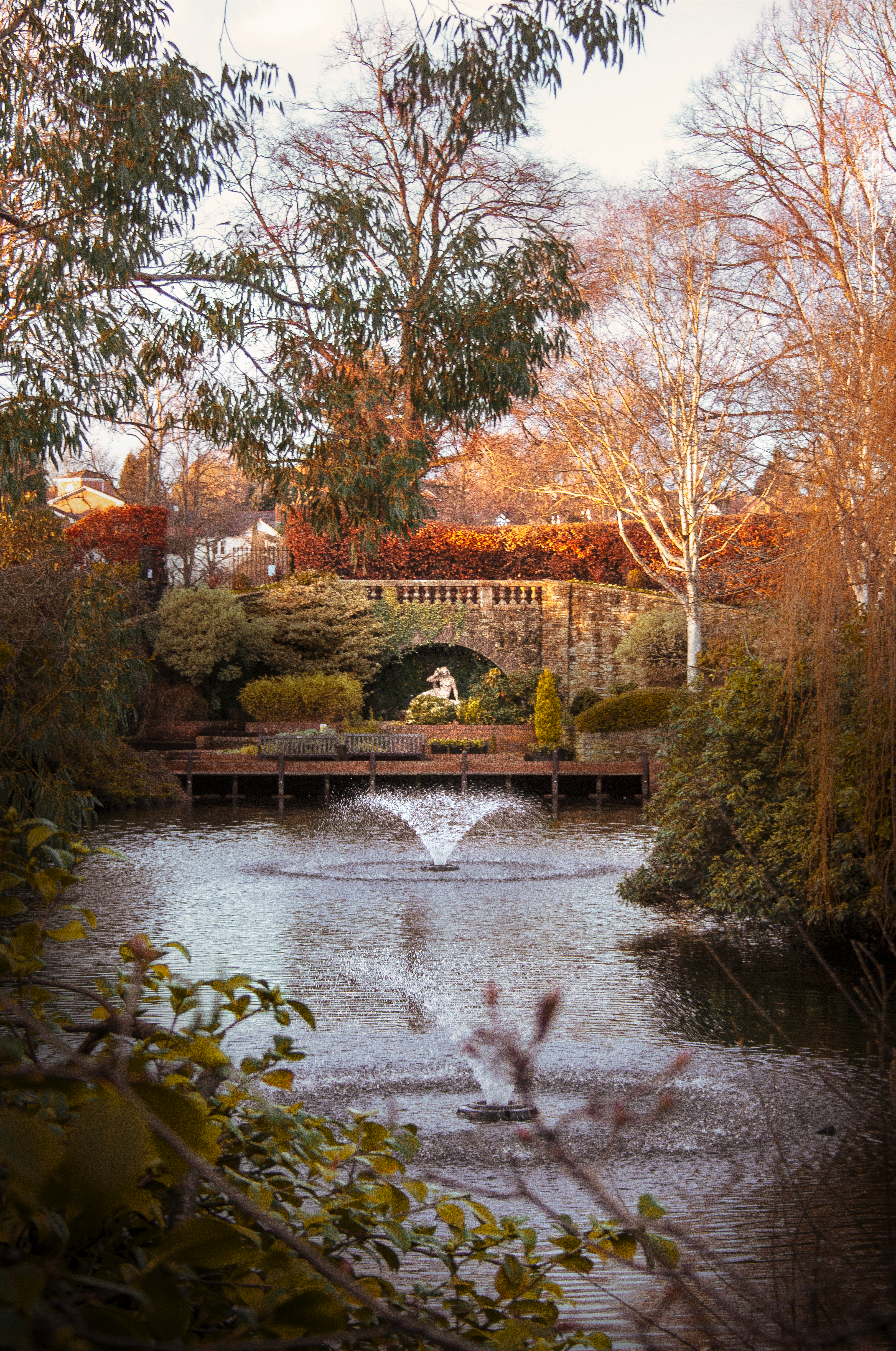 Serene garden pond in Shrewsbury with a classic statue and water feature at sunset.