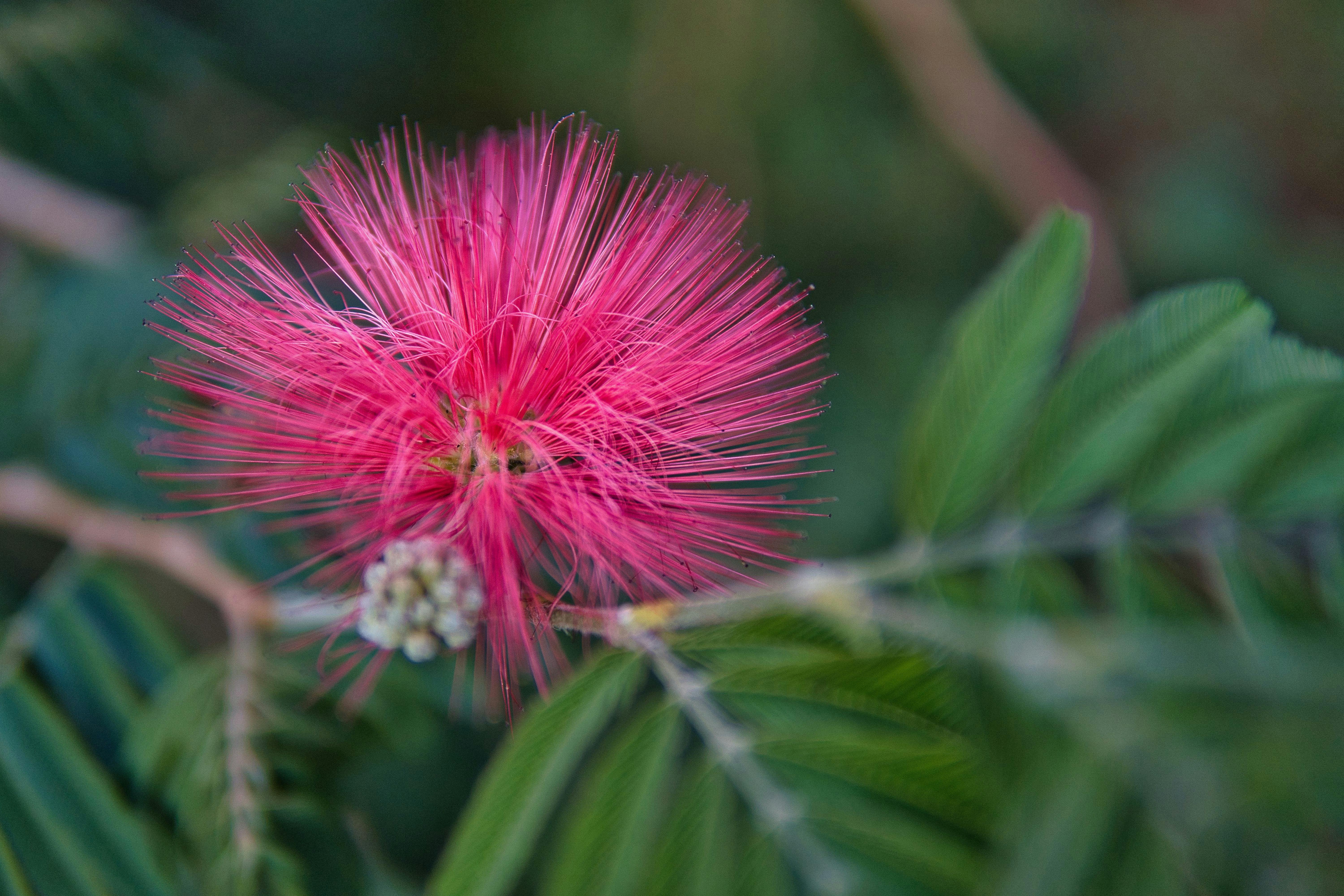 Paysage de la Réunion