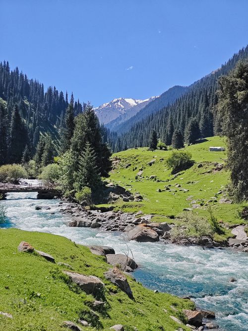 Free Idyllic scene of a mountain stream flowing through a lush green valley with snow-capped peaks in the background. Stock Photo