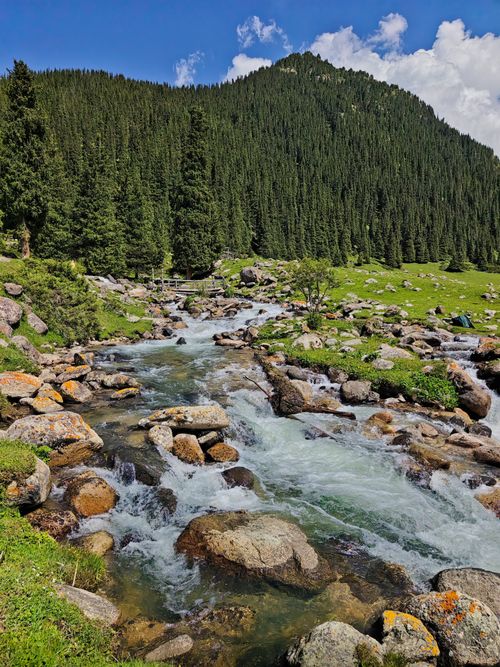 Free A vibrant stream flows through a rocky landscape surrounded by dense forest under a bright blue sky. Stock Photo
