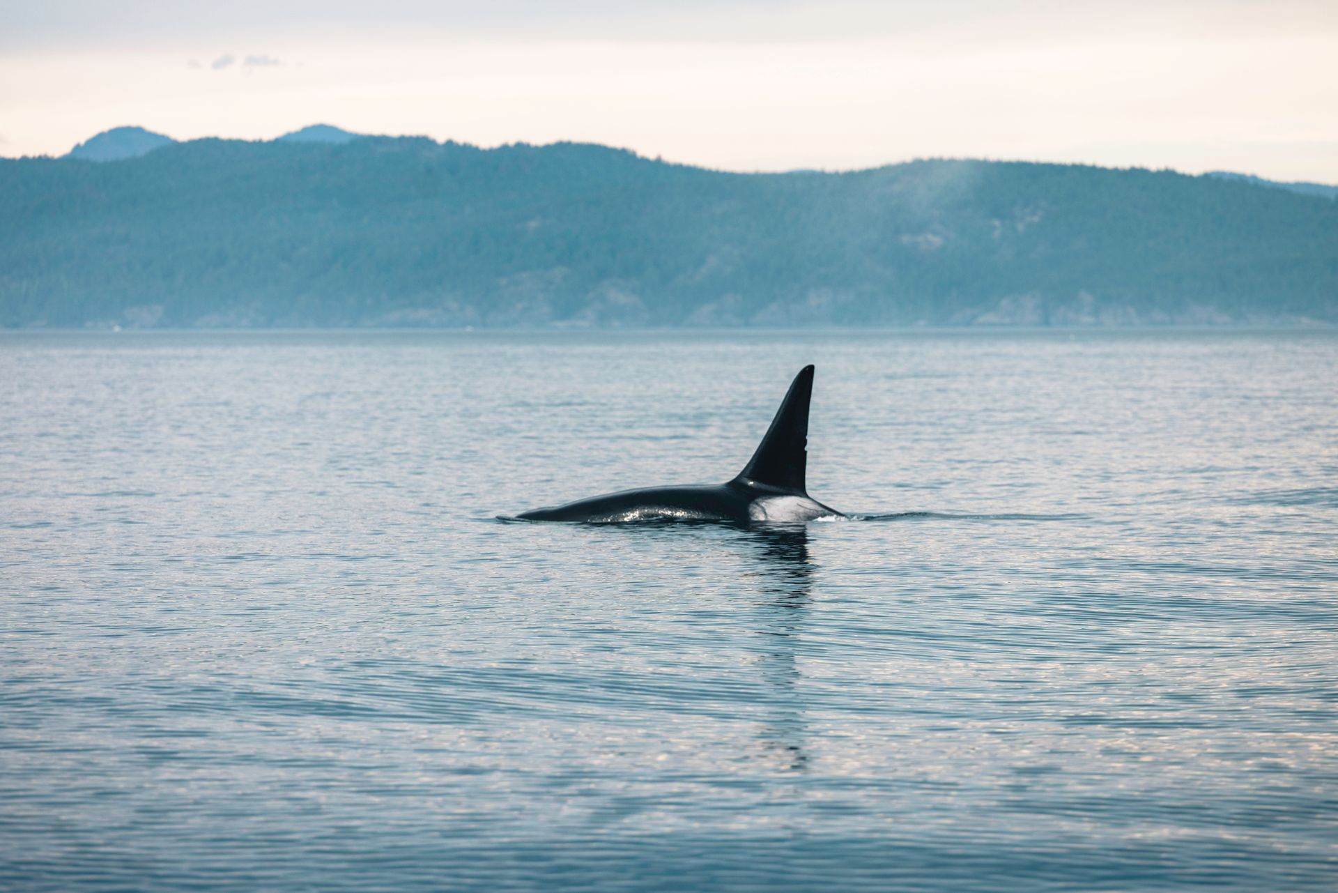 British Columbia