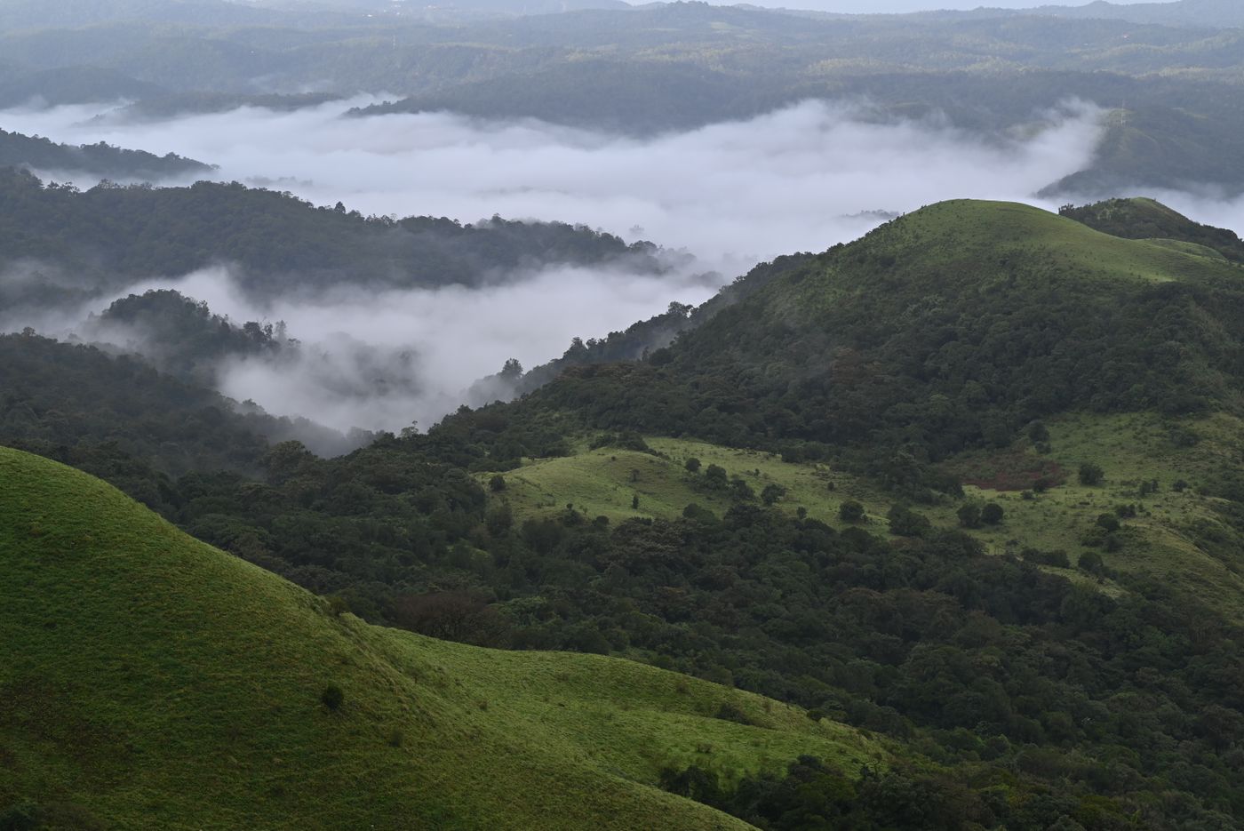 Mist filling the valleys between Coorg hills at dawn — representative image