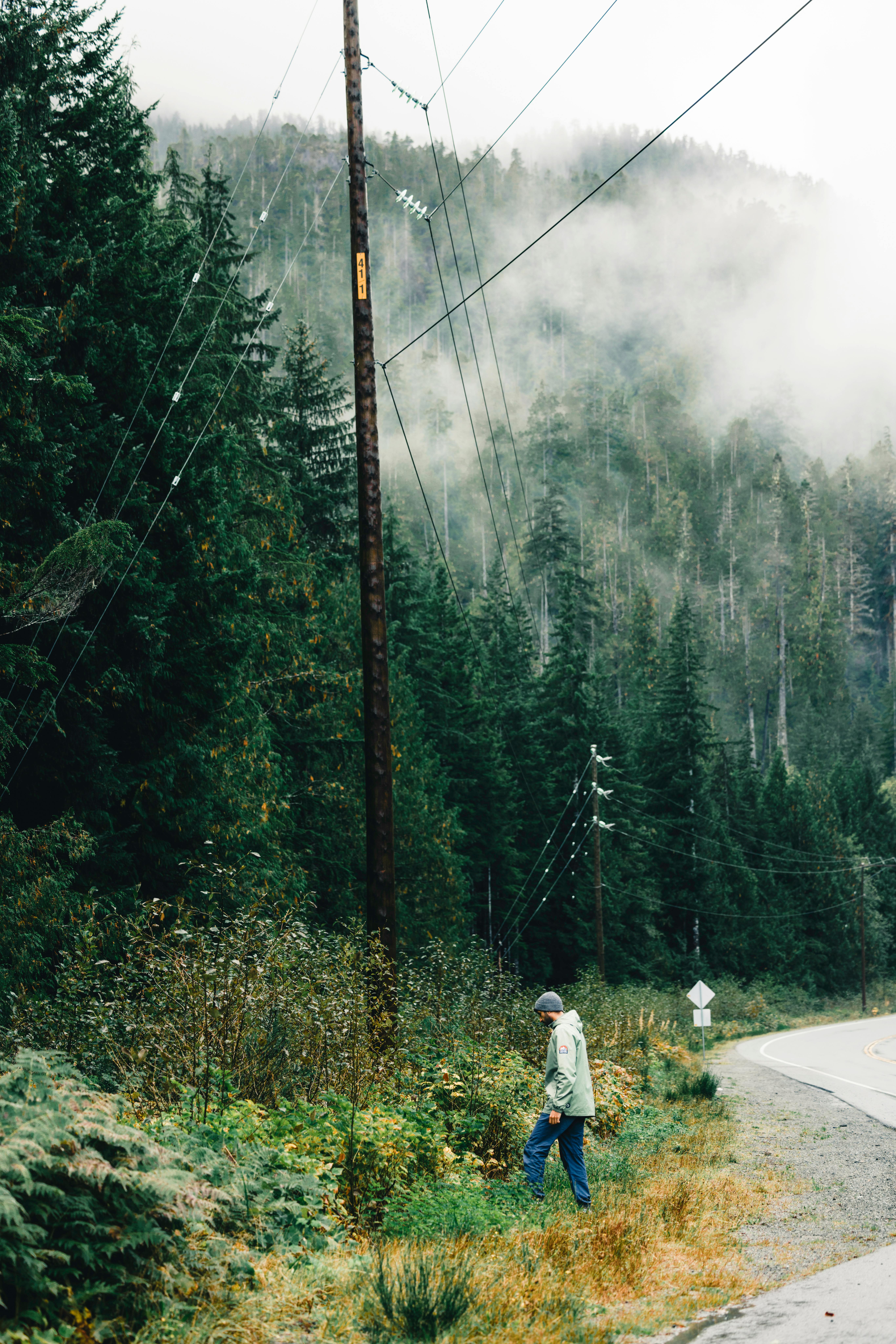 Explore the foggy forests of Tofino, British Columbia, with this atmospheric shot of a lone walker beside the road.