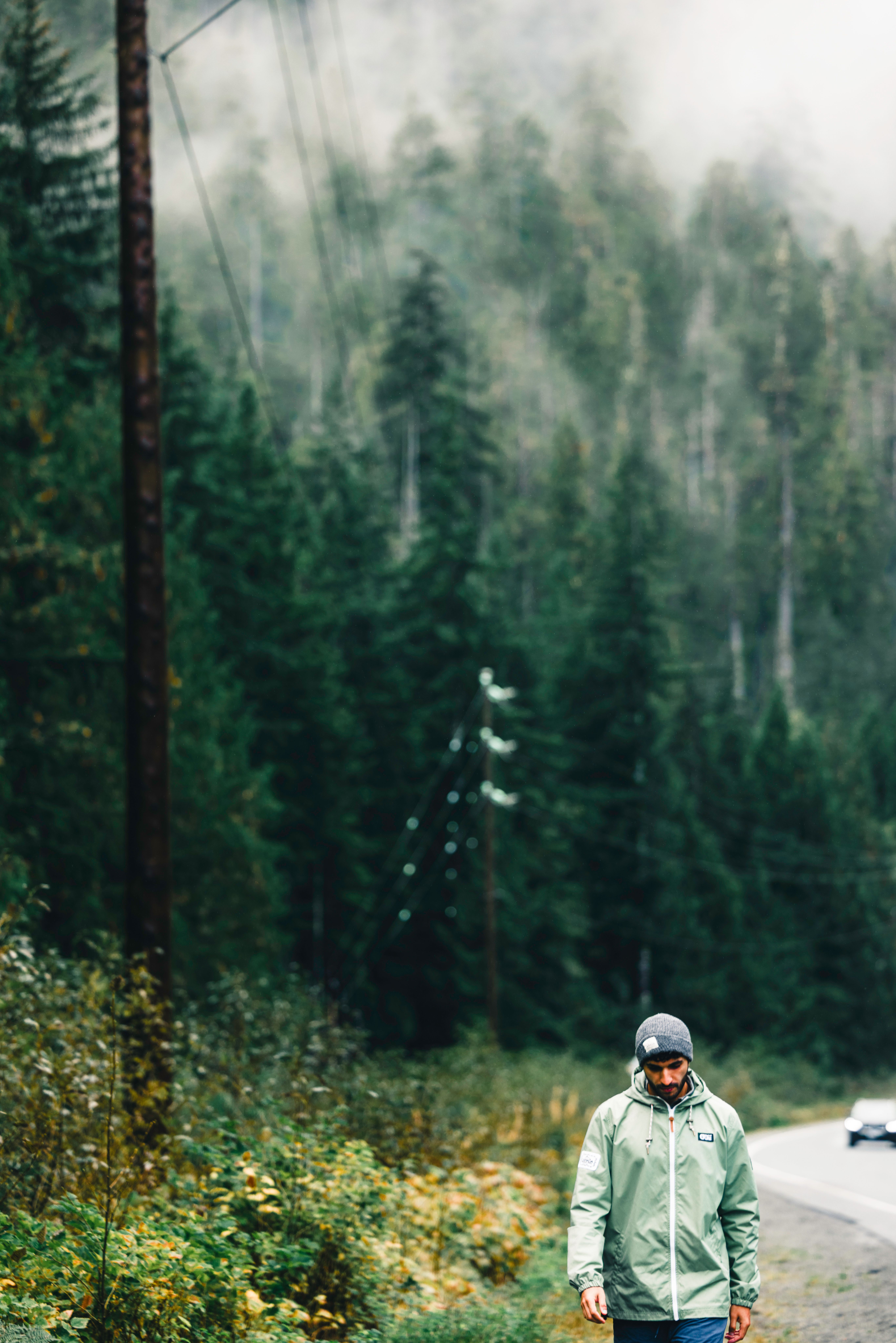 A man in a green jacket strolls through a misty forest in Tofino, British Columbia, offering a peaceful nature escape.