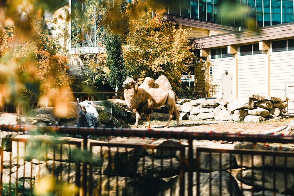 GLENDEER BUSINESS PARK