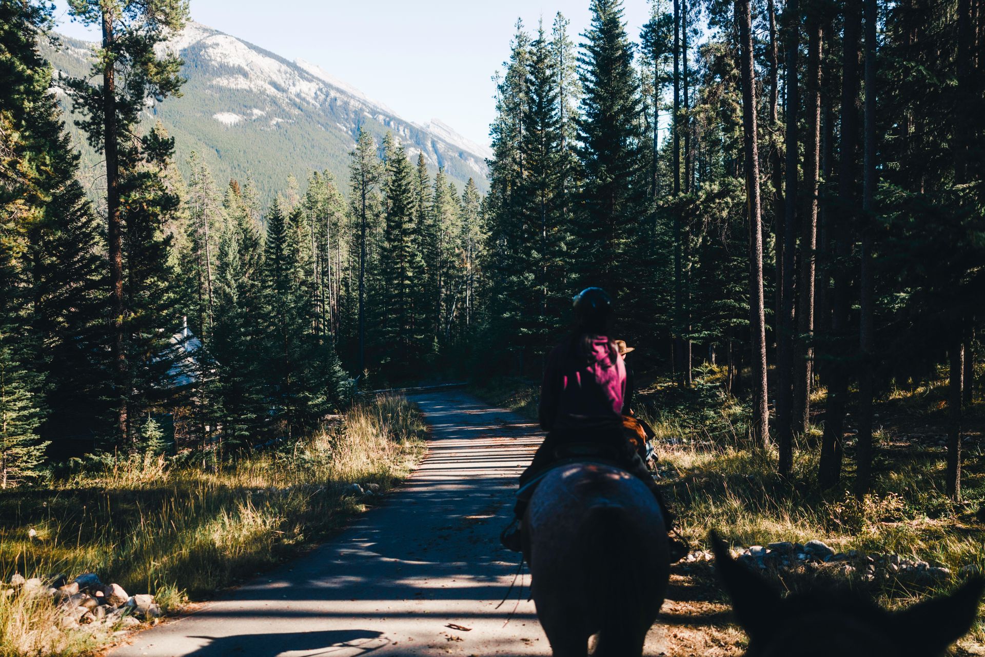 Traverse the majestic Rockies on horseback through the Absaroka-Beartooth Wilderness