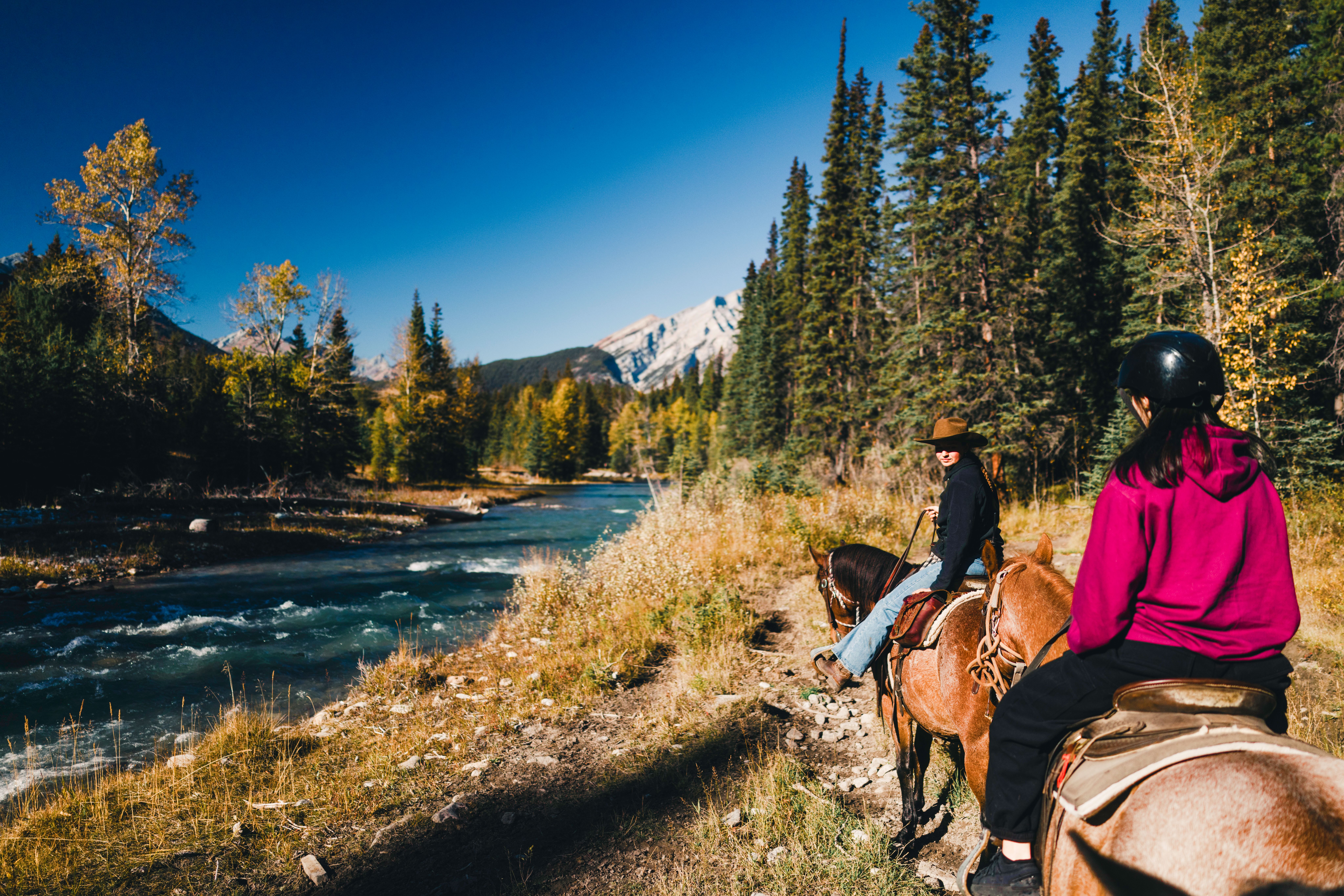 Horseback Riding Adventure in Canadian Wilderness · Free Stock Photo