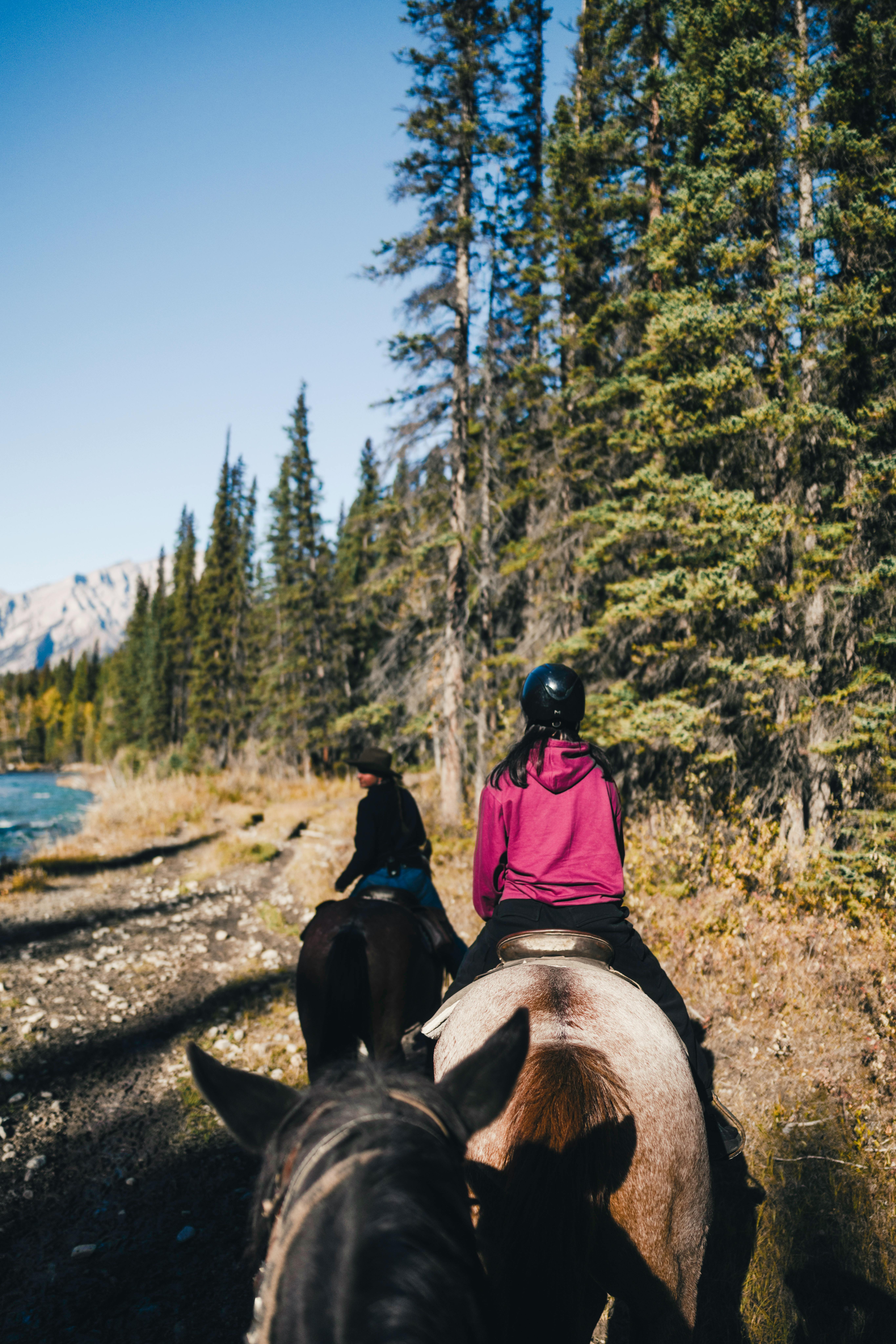 Experience horseback riding through Canada's scenic forests by a river.