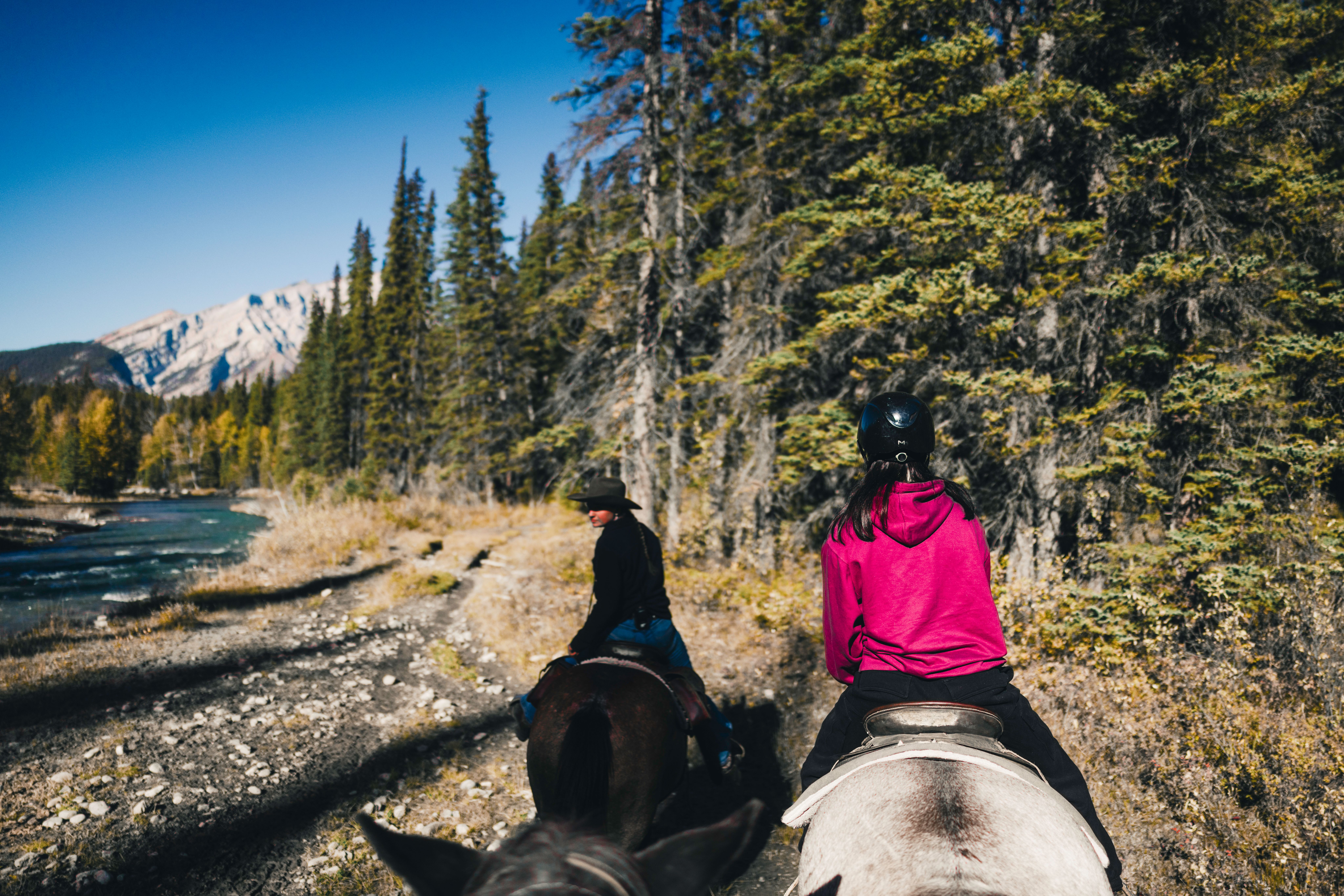 Scenic Horseback Riding in Canadian Wilderness · Free Stock Photo