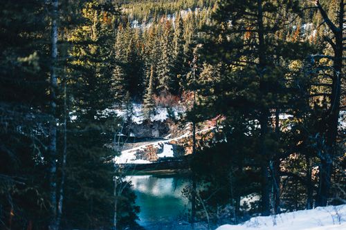 Free A serene winter view of a forest surrounding a clear blue river in Canada's wilderness. Stock Photo