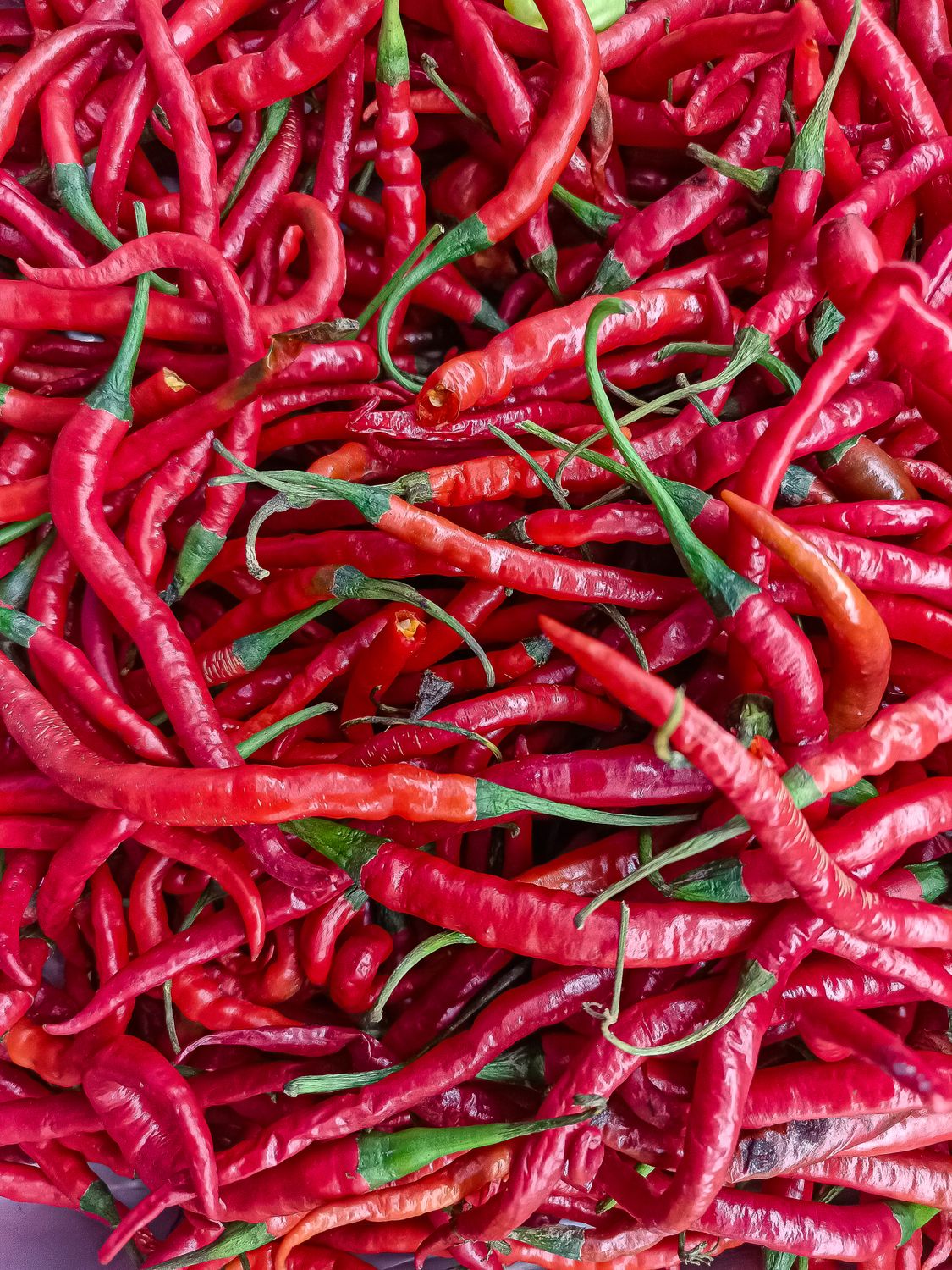 Vibrant Red Chilies Fresh From The Market Free Stock Photo vibrant-red-chilies-fresh-from-the-market-free-stock-photo