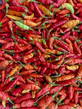 Free stock photo of asian, chili, close