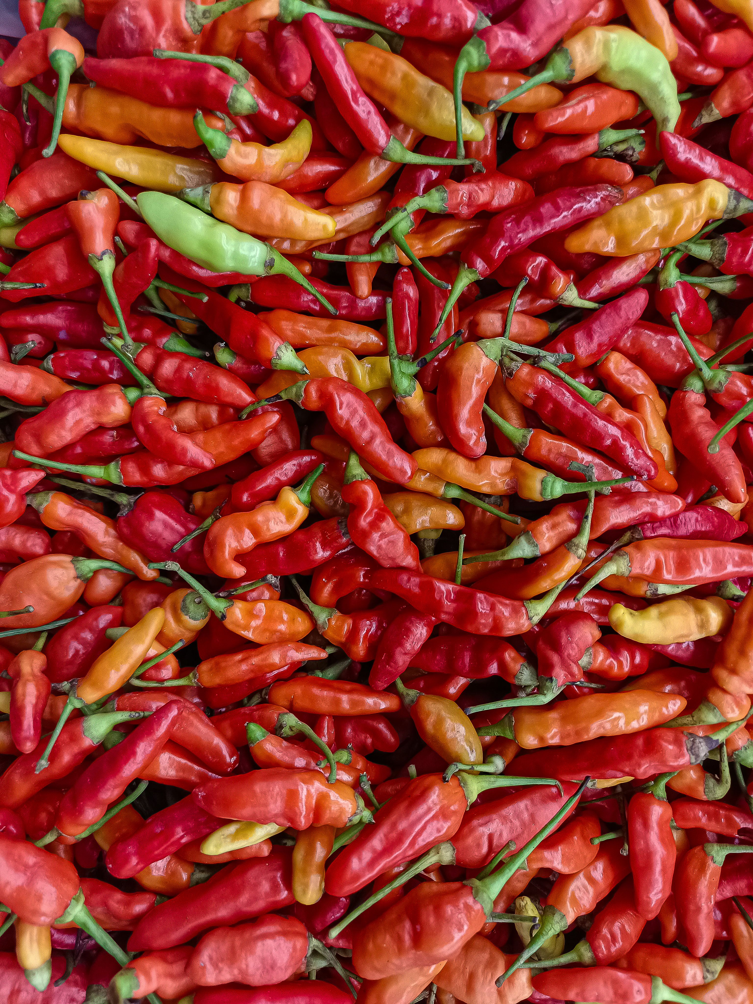 Vibrant Assorted Chili Peppers in Market Display · Free Stock Photo