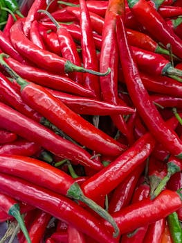 Free stock photo of asian, chili, close