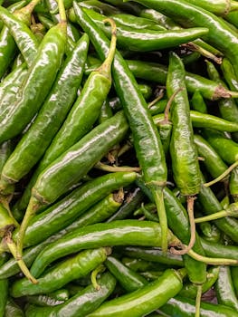 Free stock photo of asian, chili, close