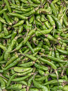 Free stock photo of asian, chili, close