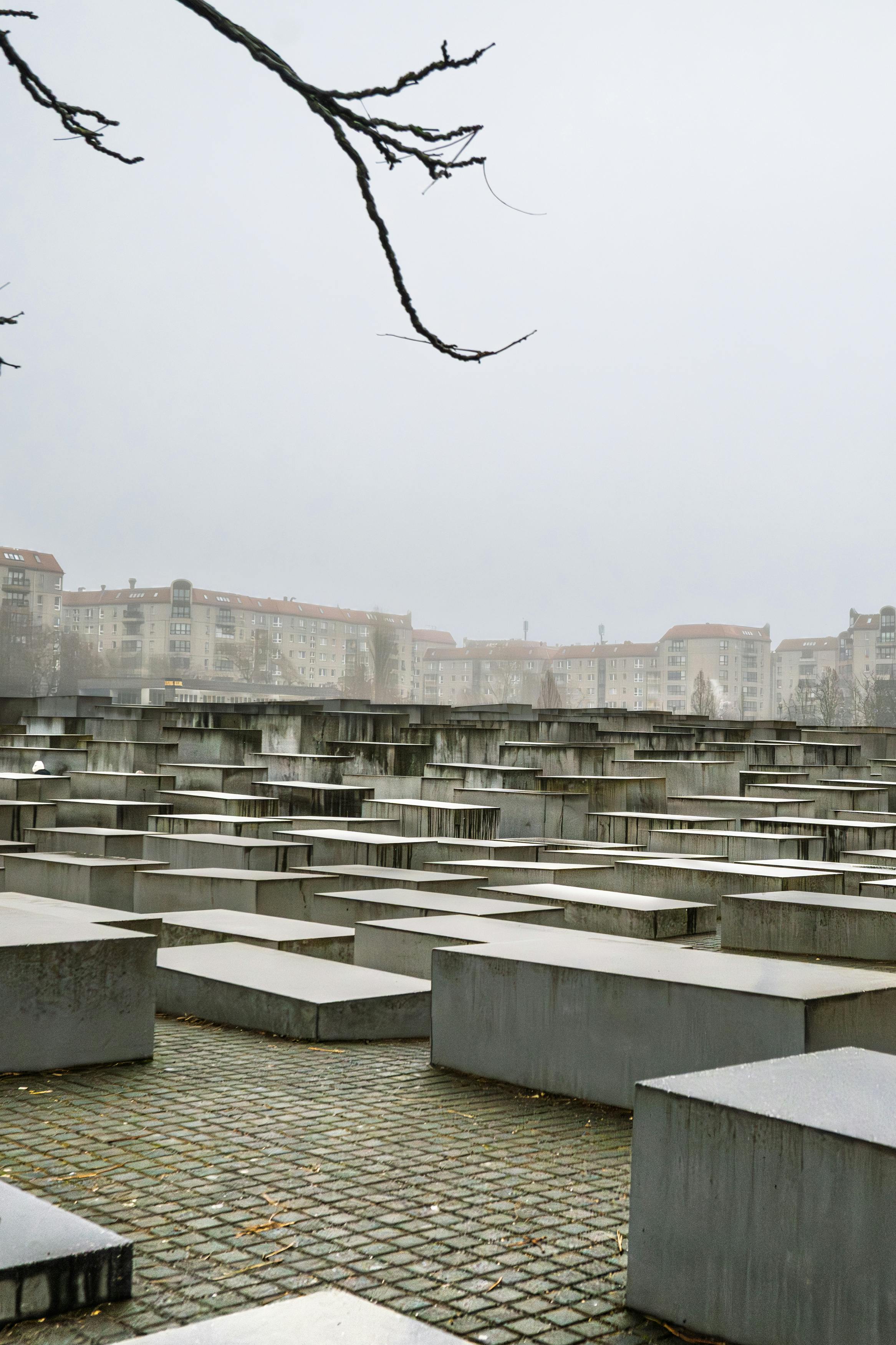 Against A Rhetoric Of The Unspeakable In Holocaust Writing