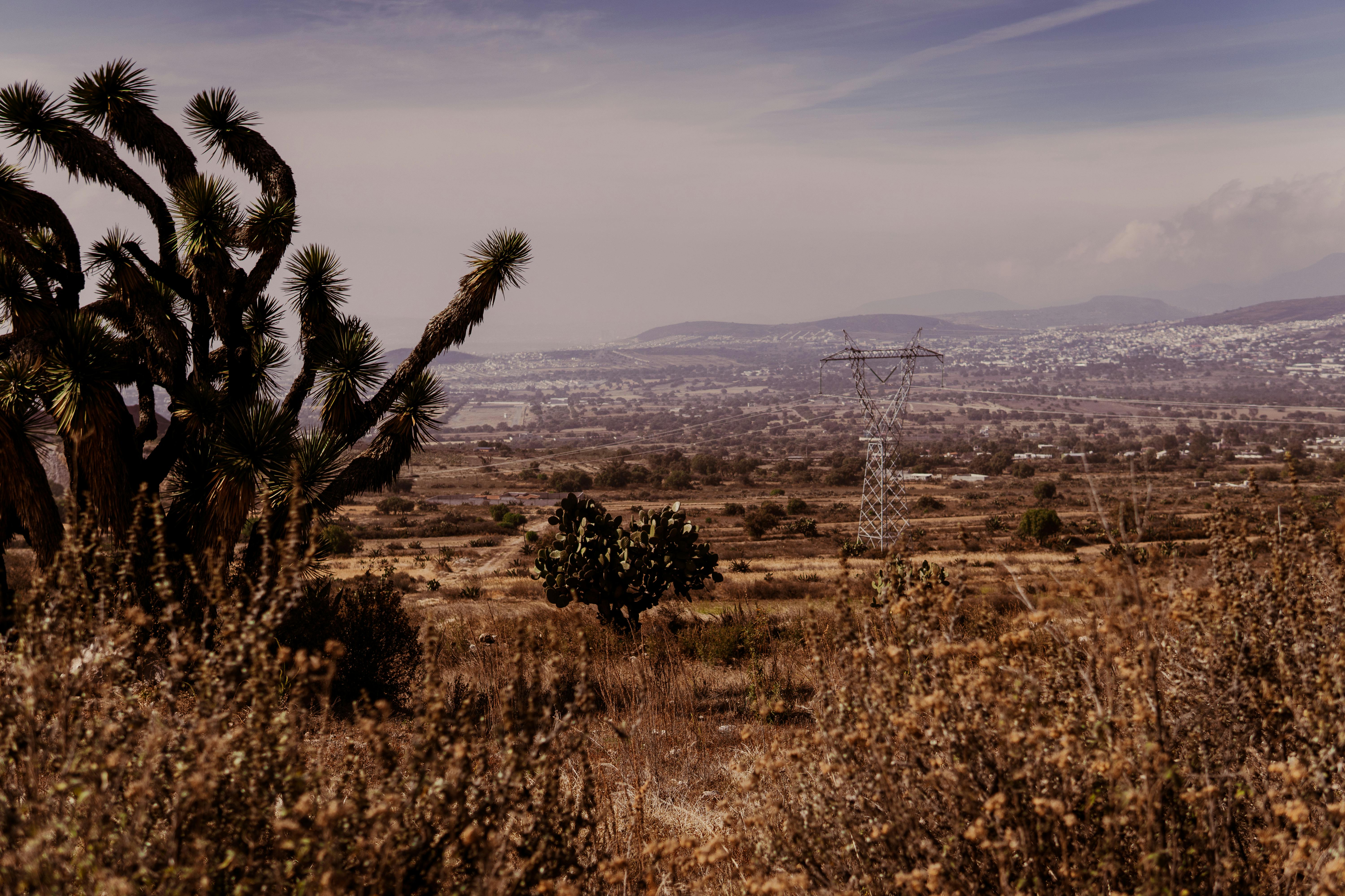 加拿大新創Kepler發射衛星，瞄準地球觀測與國防商機