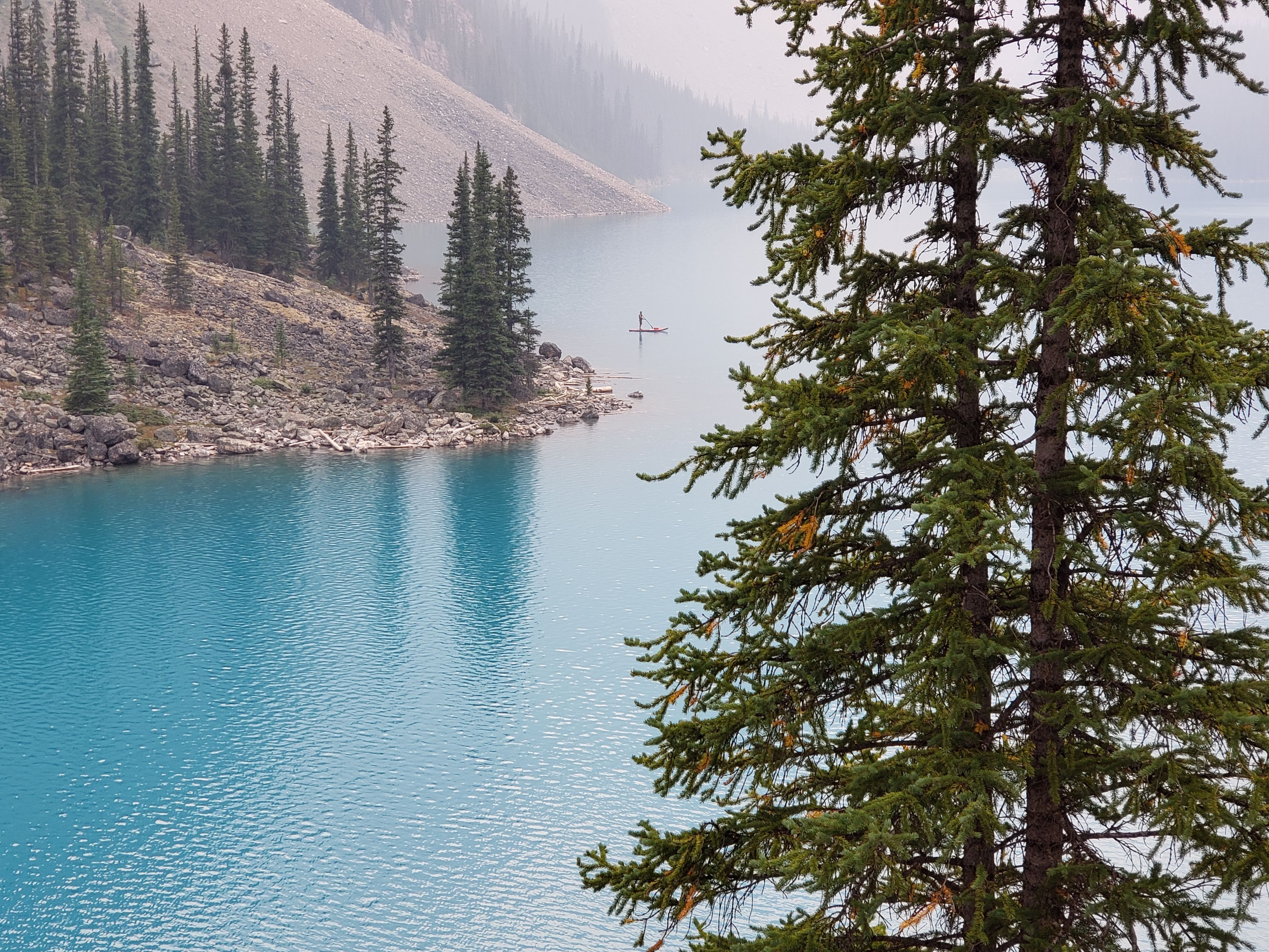 Serene Lake Scene with Evergreen Trees · Free Stock Photo