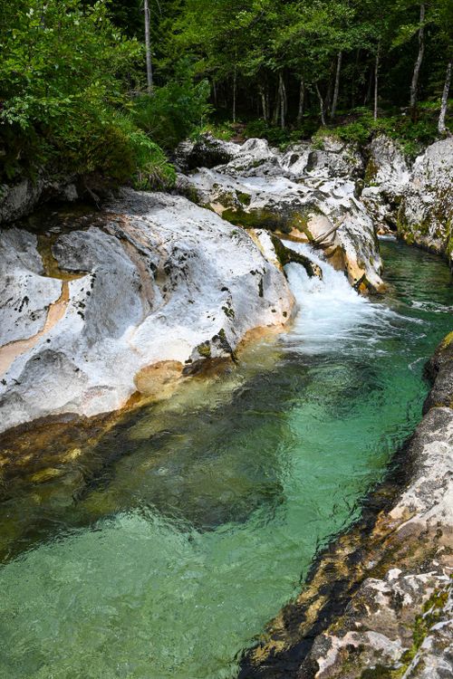 Free A serene stream flowing through rocky terrain in a lush, green forest setting. Stock Photo