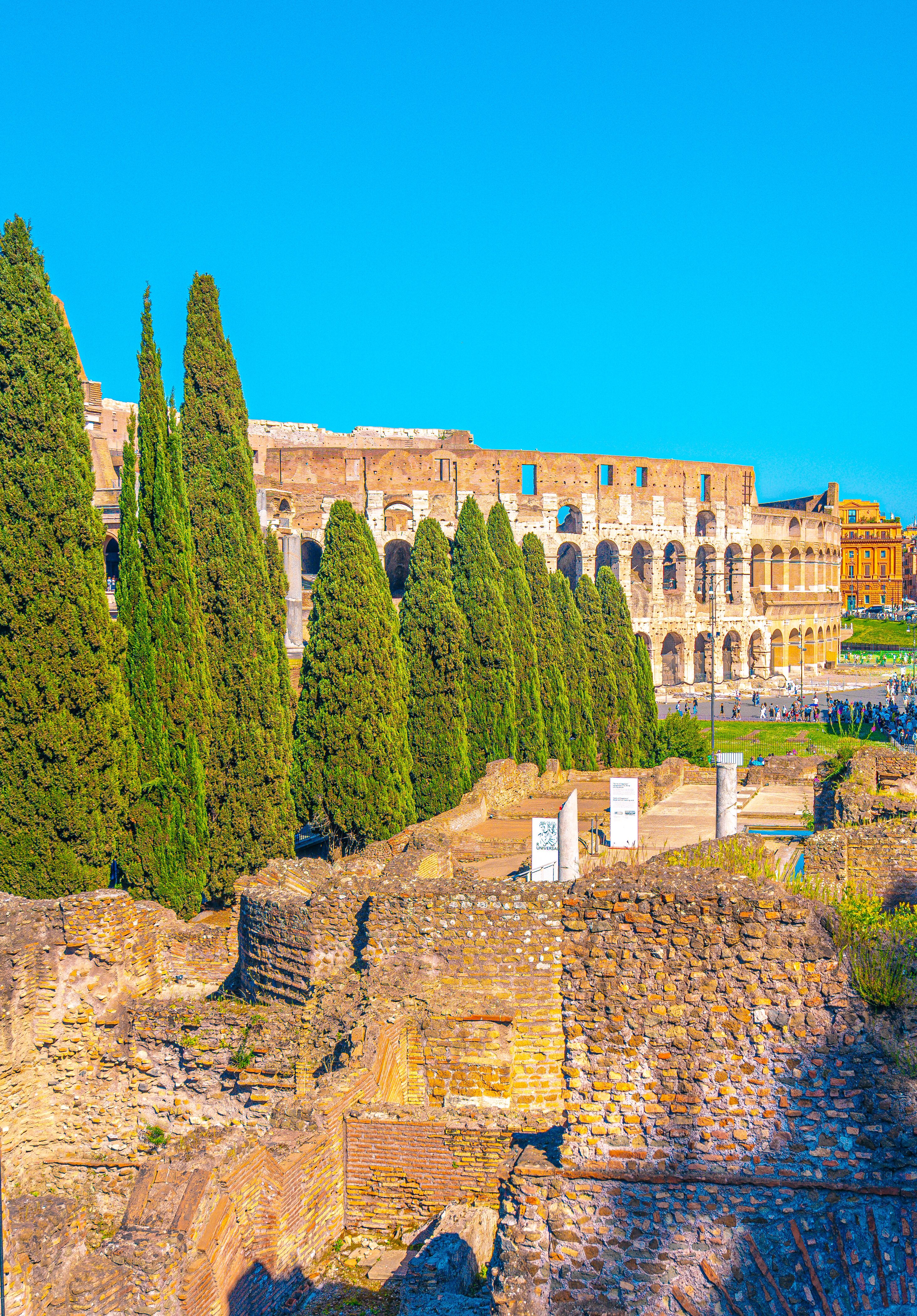 Colosseum and Cypress Trees in Rome, Italy · Free Stock Photo