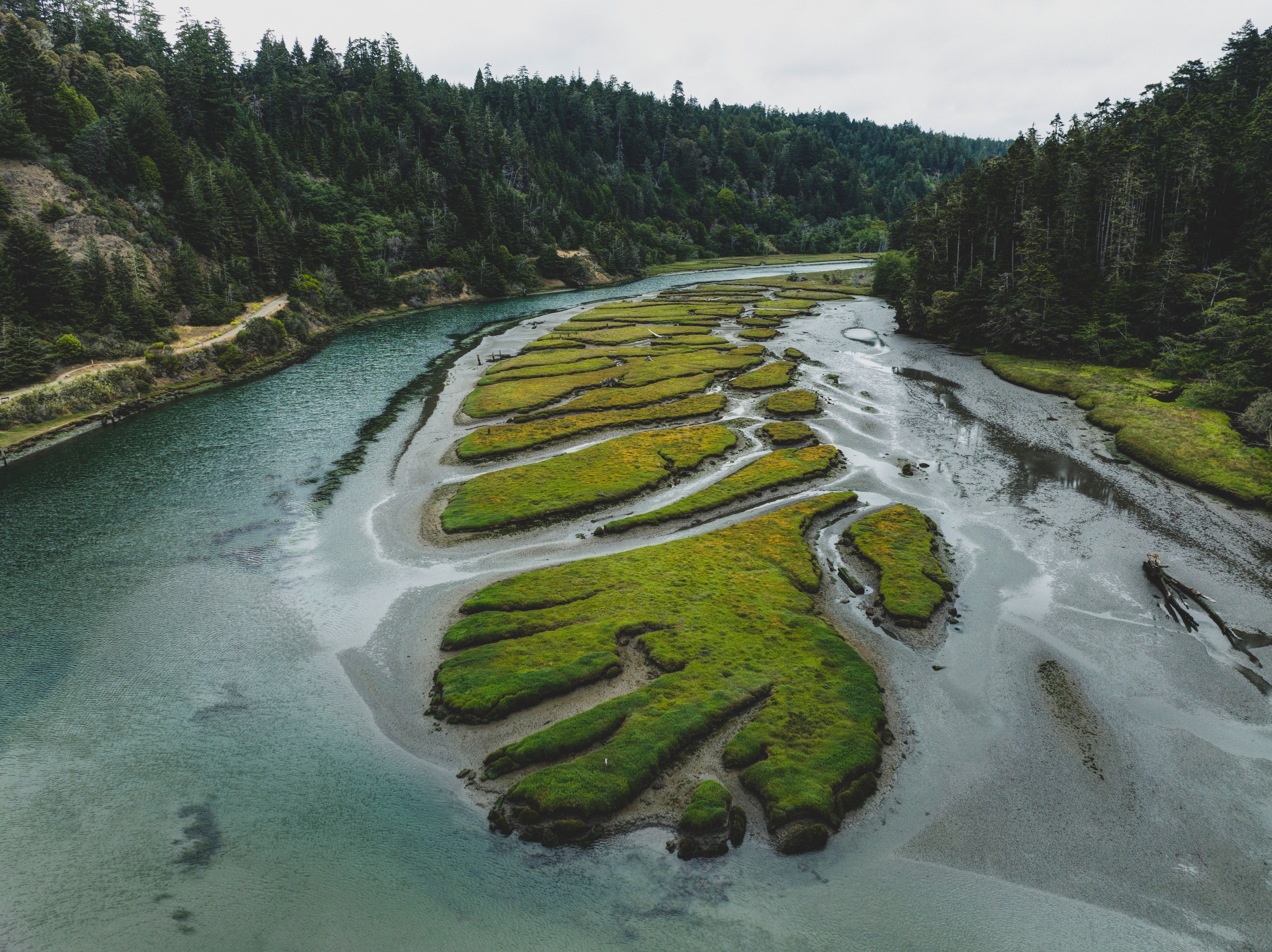 Aerial View of Serpentine River Bend in Lush Landscape · Free Stock Photo