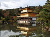 在日本京都，一座金色展馆倒映在宁静的池塘中，四周环绕着郁郁葱葱的绿色植物