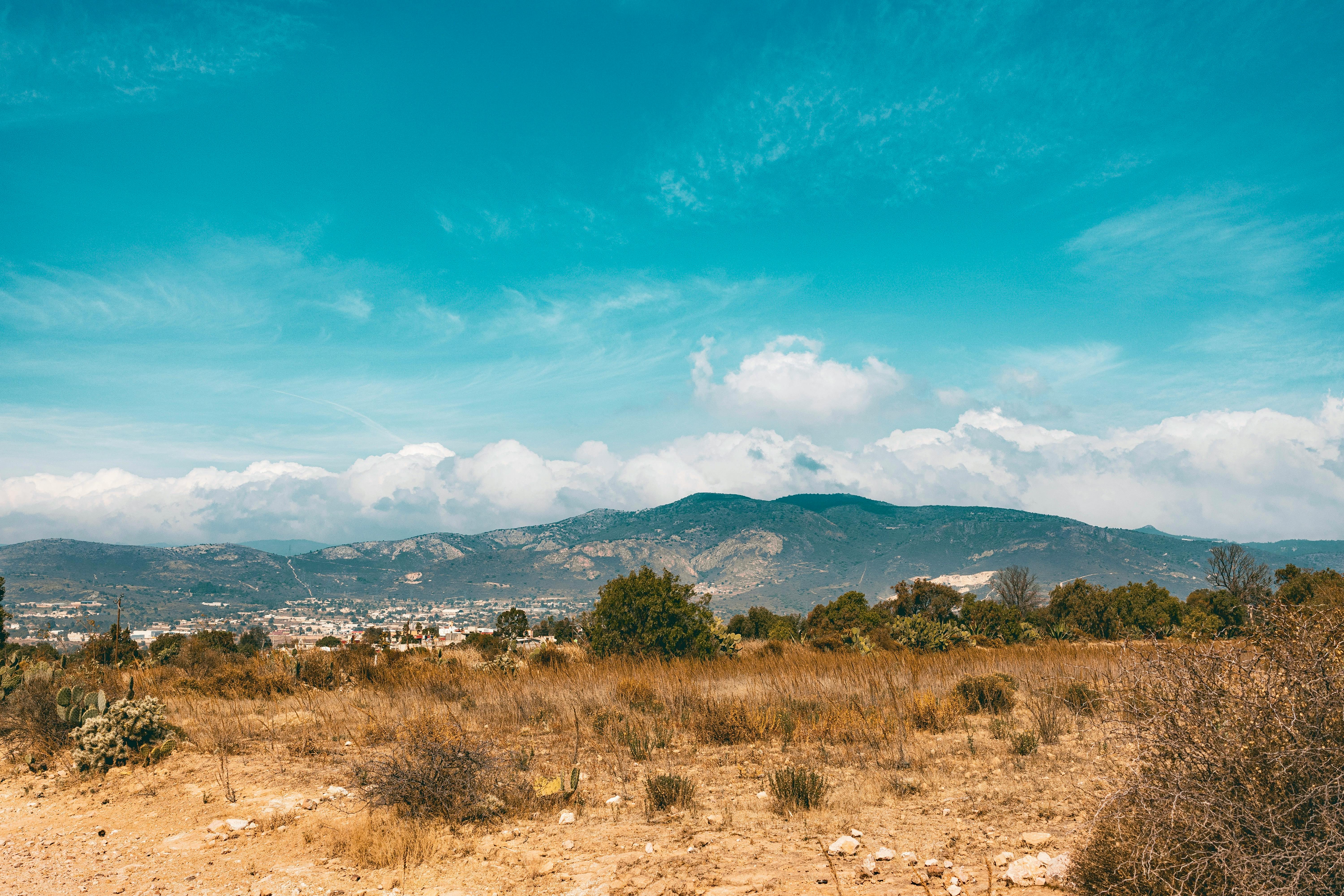 Dry brush and parched hillsides in Ventura County before the fire
