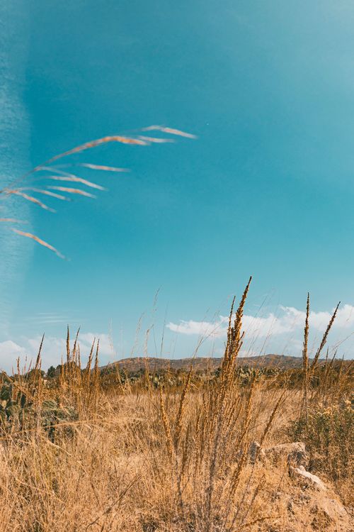 Free Peaceful desert scene featuring blue sky, dry grass, and distant hills. Stock Photo