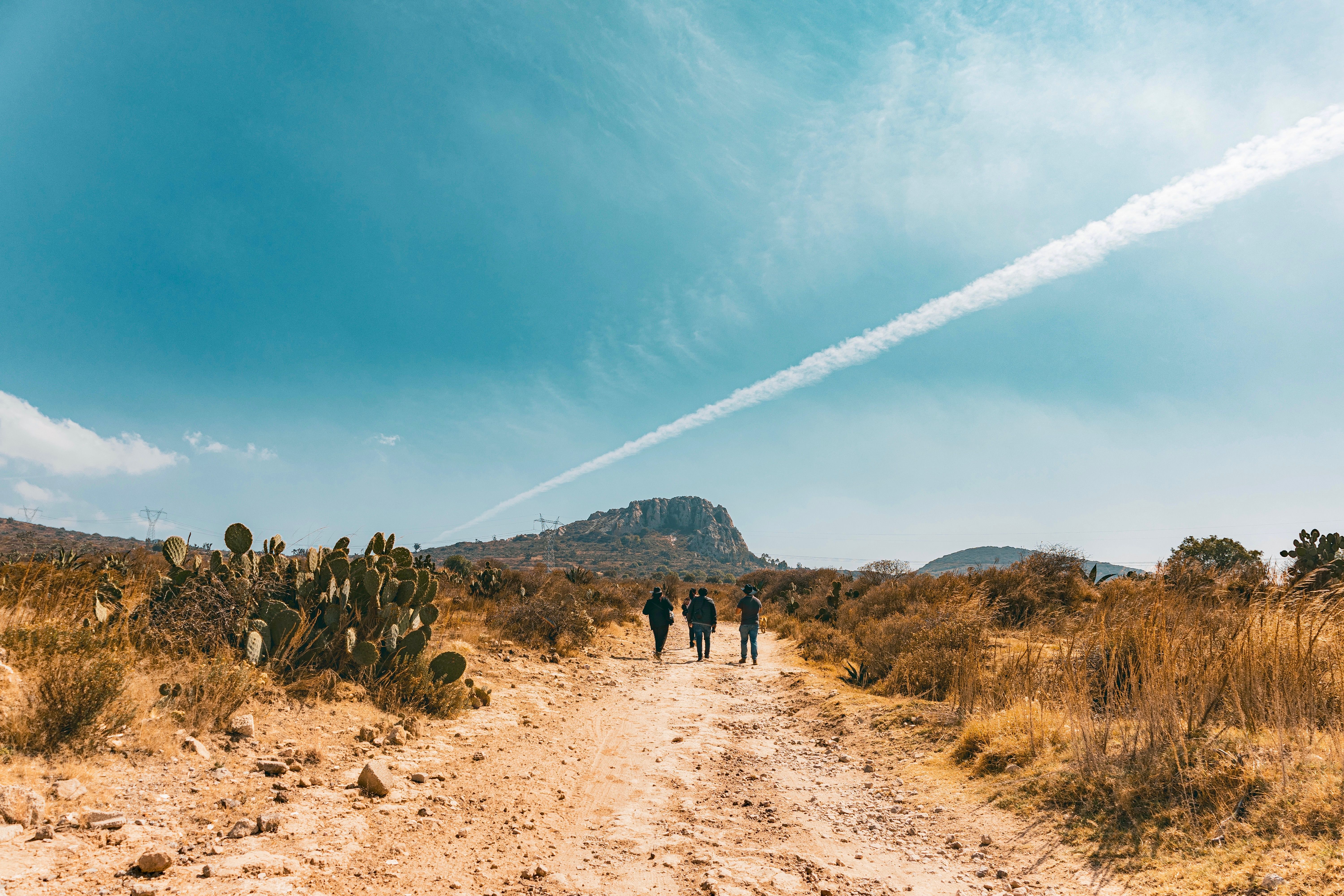 Best Gray Whale Watching Expedition at Magdalena Bay Review: An Unforgettable Close Encounter with Giants Review 2026 - Group of people hiking on a desert trail with cactus and clear sky.