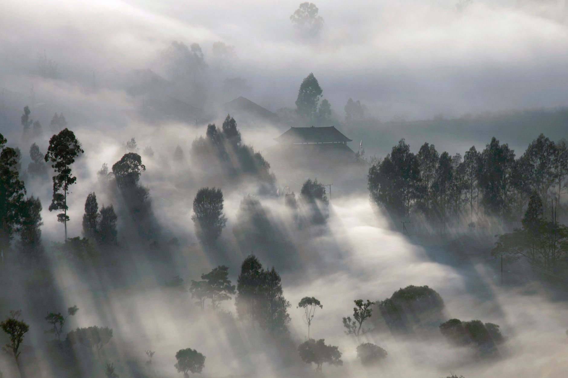 Pemandangan kabut pagi dan udara dingin di kawasan wisata pegunungan Ciwidey Pemandangan kabut pagi dan udara dingin di kawasan wisata pegunungan Ciwidey
