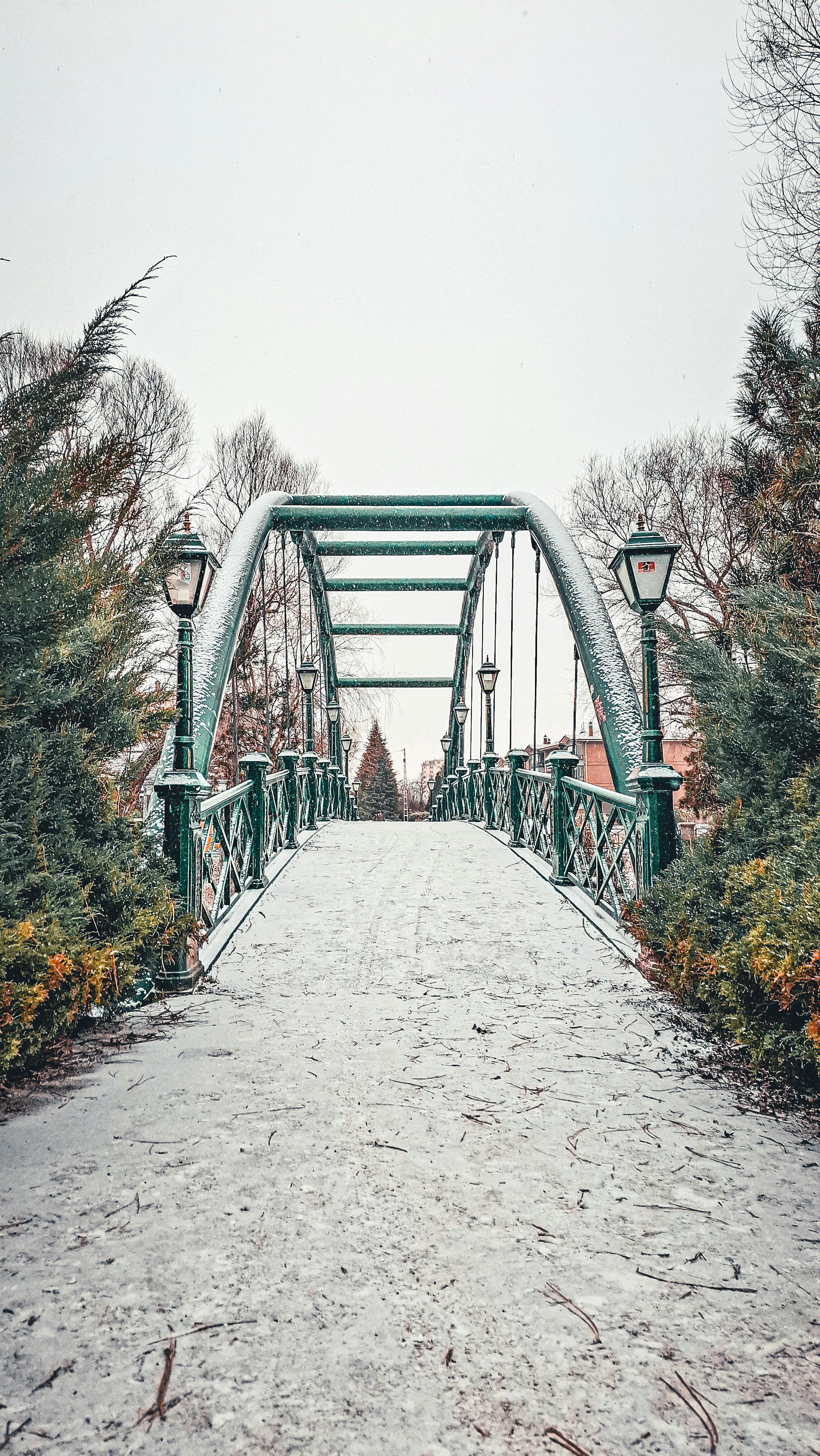 A picturesque snow-covered bridge surrounded by winter foliage, evoking a serene winter wonderland scene.
