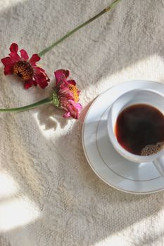 White coffee cup and saucer with flowers on a sunlit textured surface.