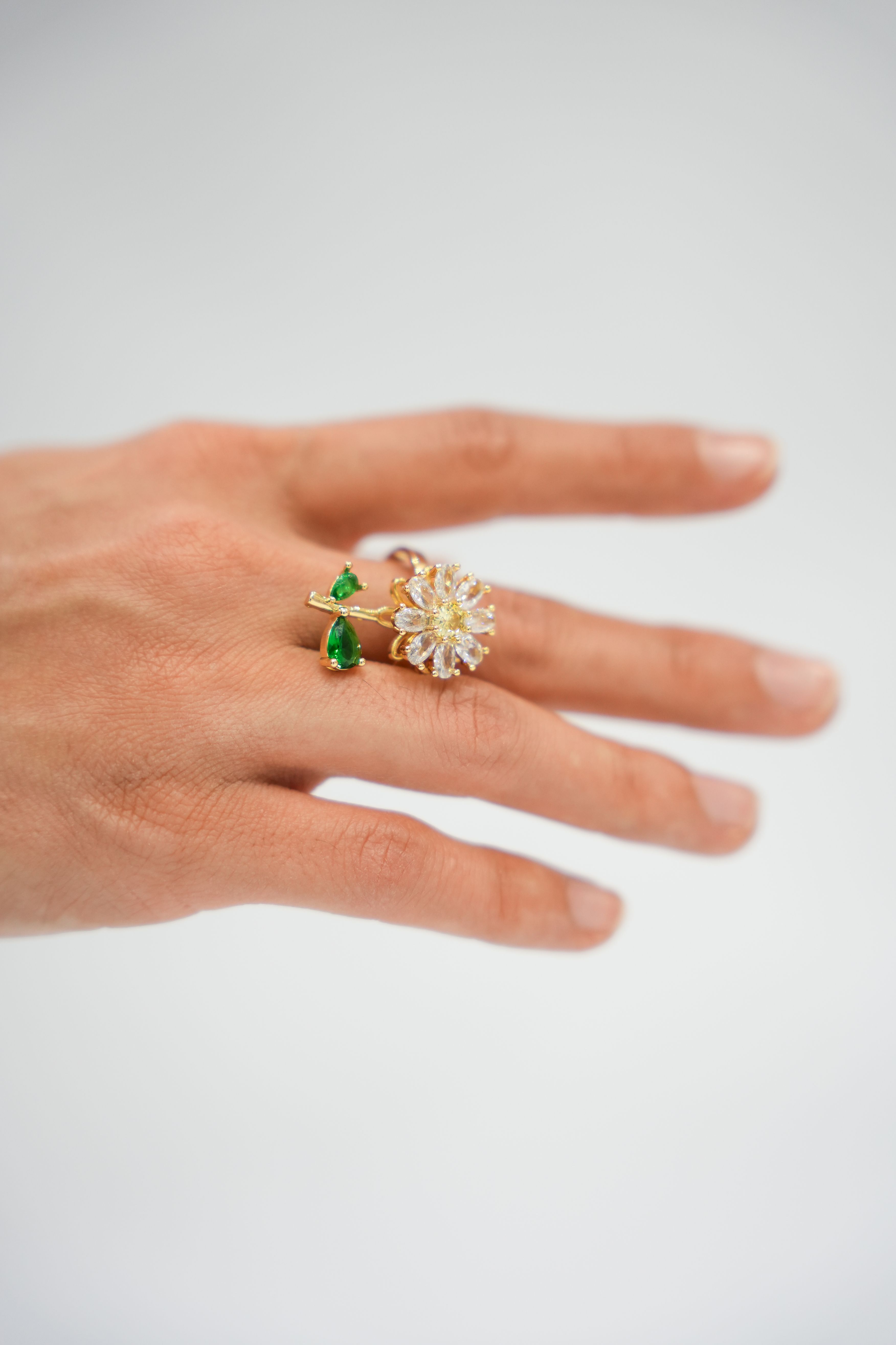 Elegant Hand with Gold and Gemstone Rings · Free Stock Photo