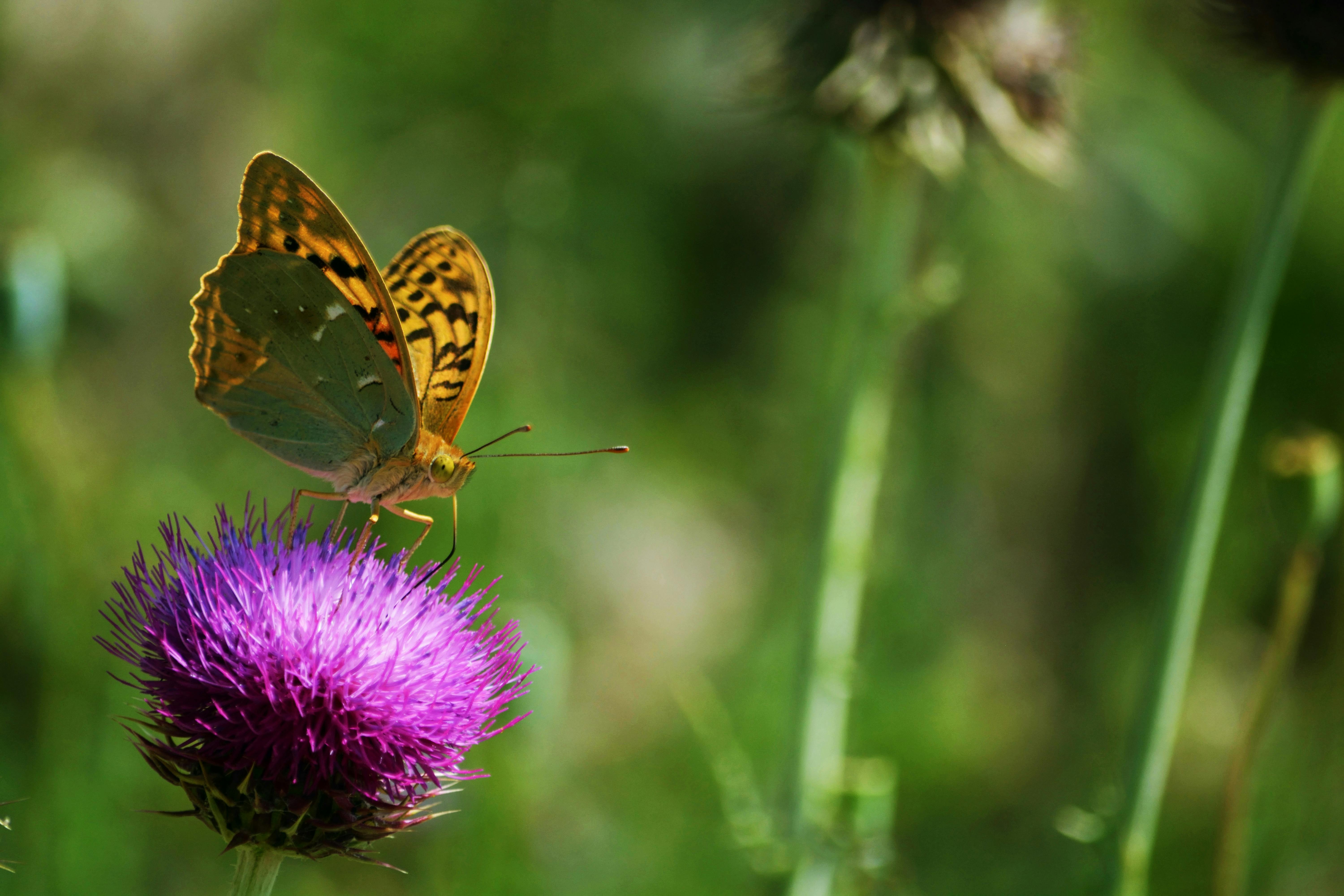 User Experiences: What Customers are Saying about ‌Garden of ‍Life Probiotics