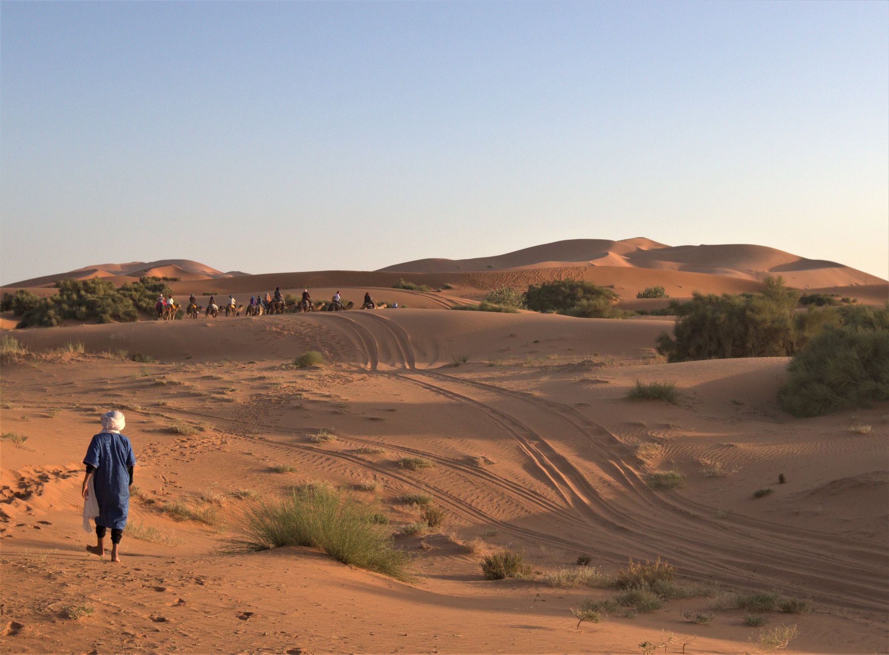 merzouga erg chebbi sahara desert sand dunes camel sunset orange morocco