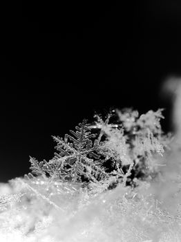 Detailed black and white macro shot of crystalline snowflakes on a dark background, highlighting winter beauty.