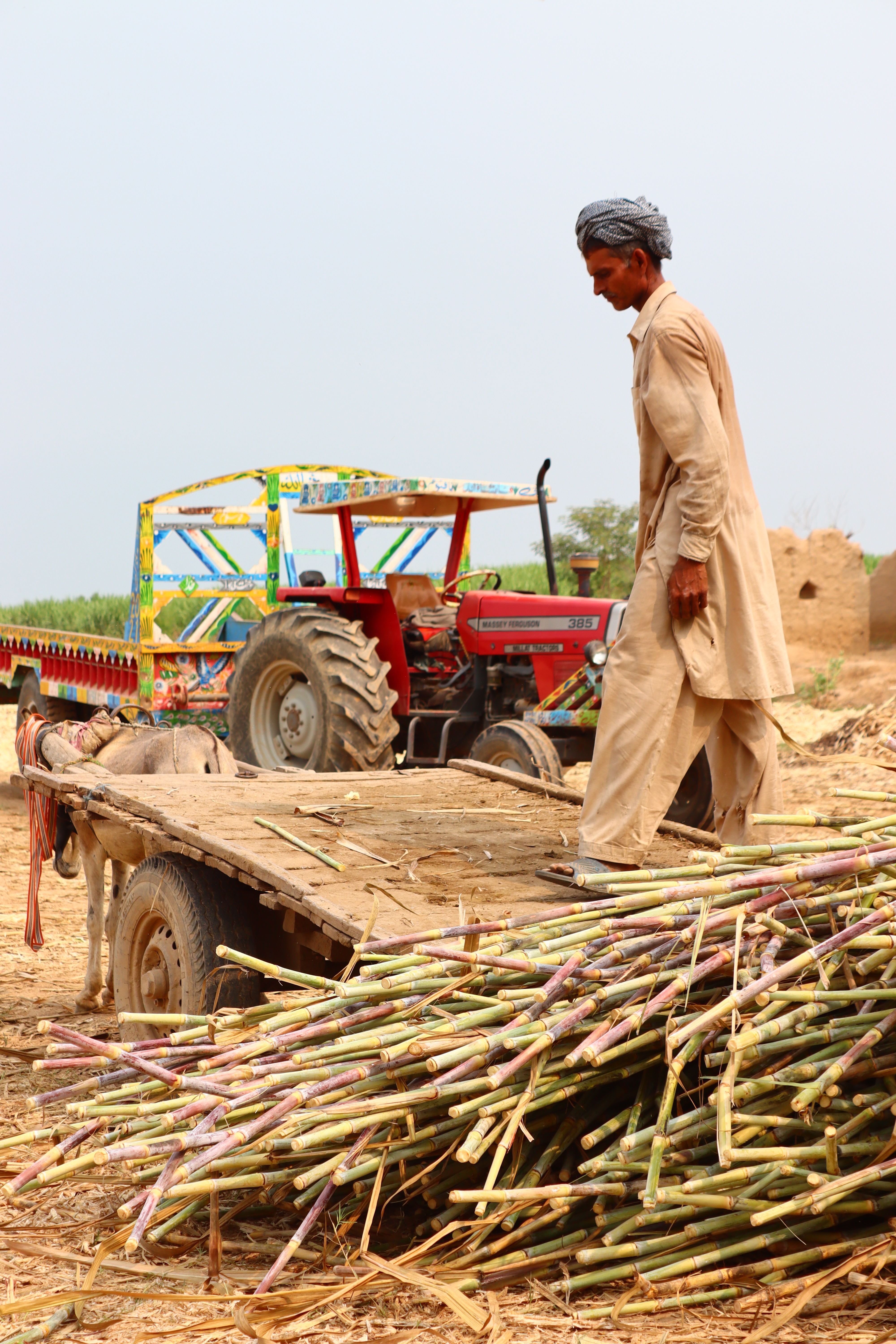 A farmer stands on a cart with sugarcane harvest beside a colorful tractor outdoors.