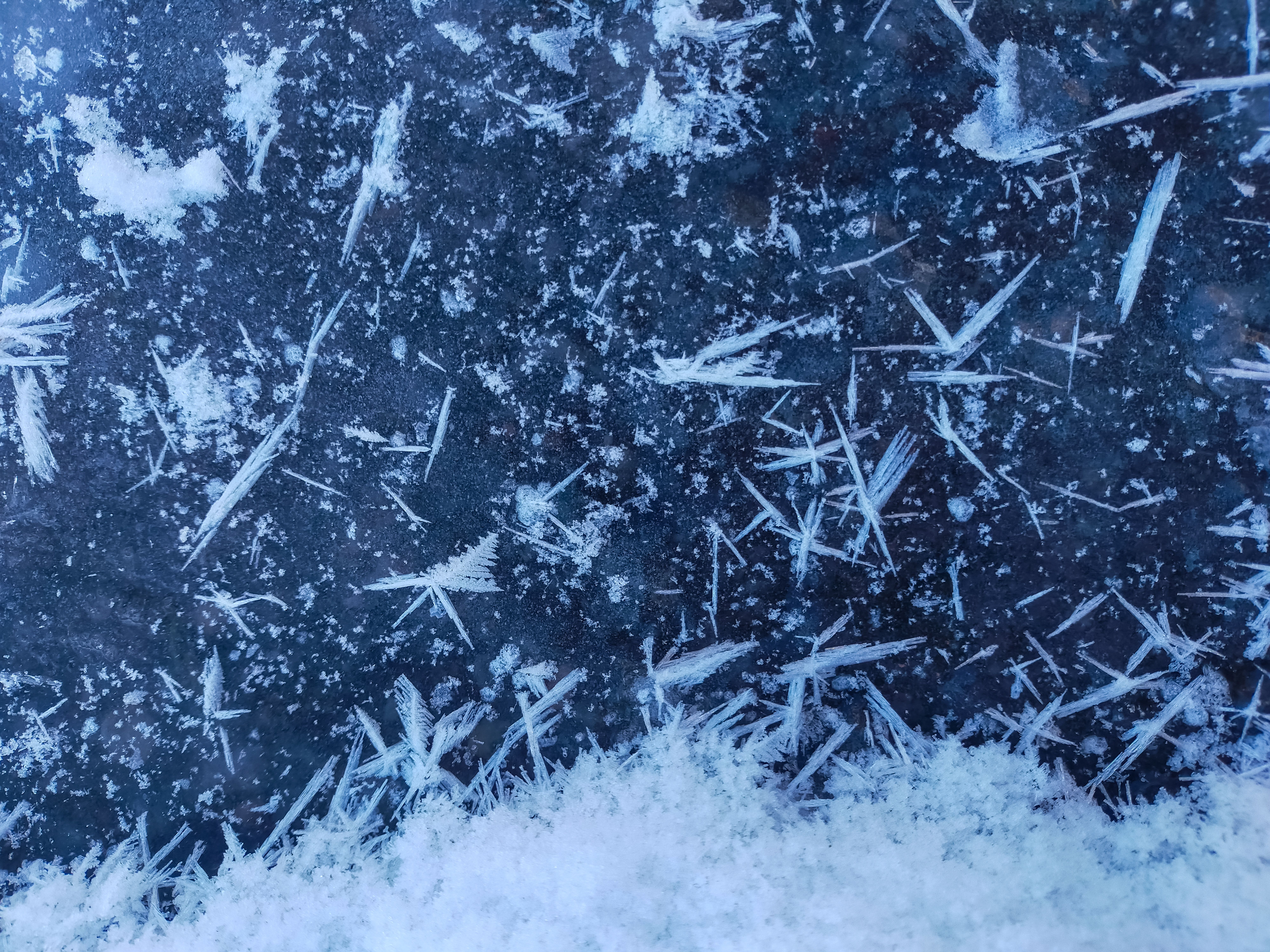 How Does the Storm Glass Work? The Science of Crystal Formation