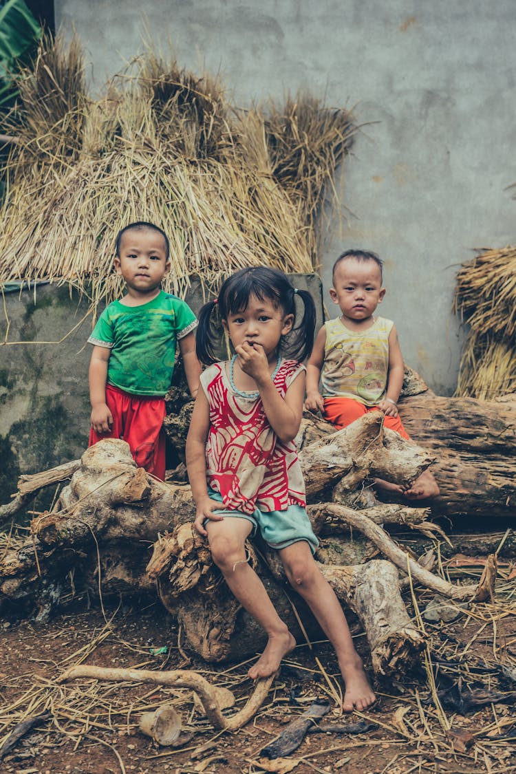 Three Kids Sitting On A Log