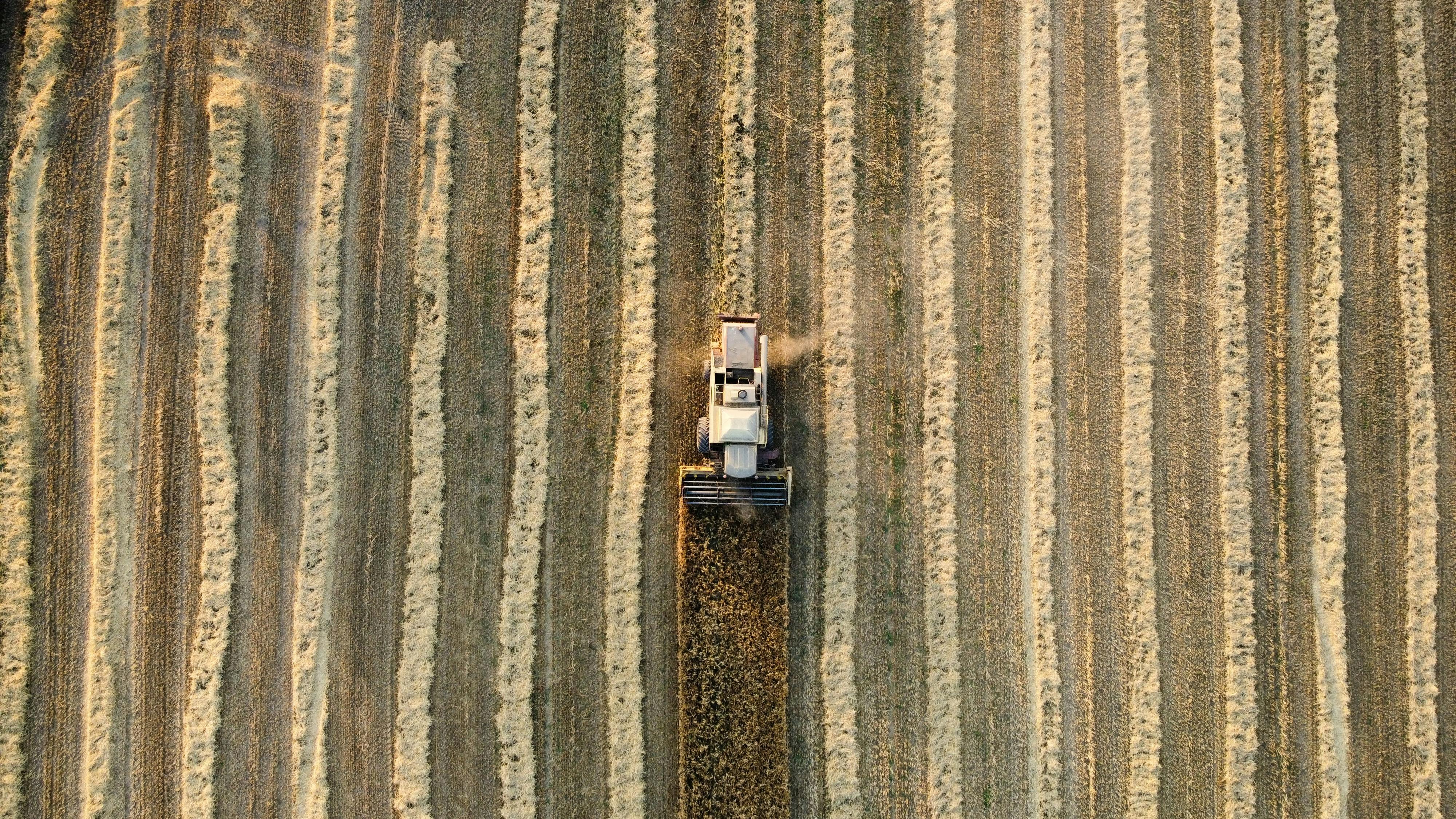 Biofarm insights image