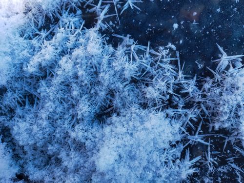 Free Detailed macro photograph showcasing intricate ice crystals on a cold winter surface. Stock Photo