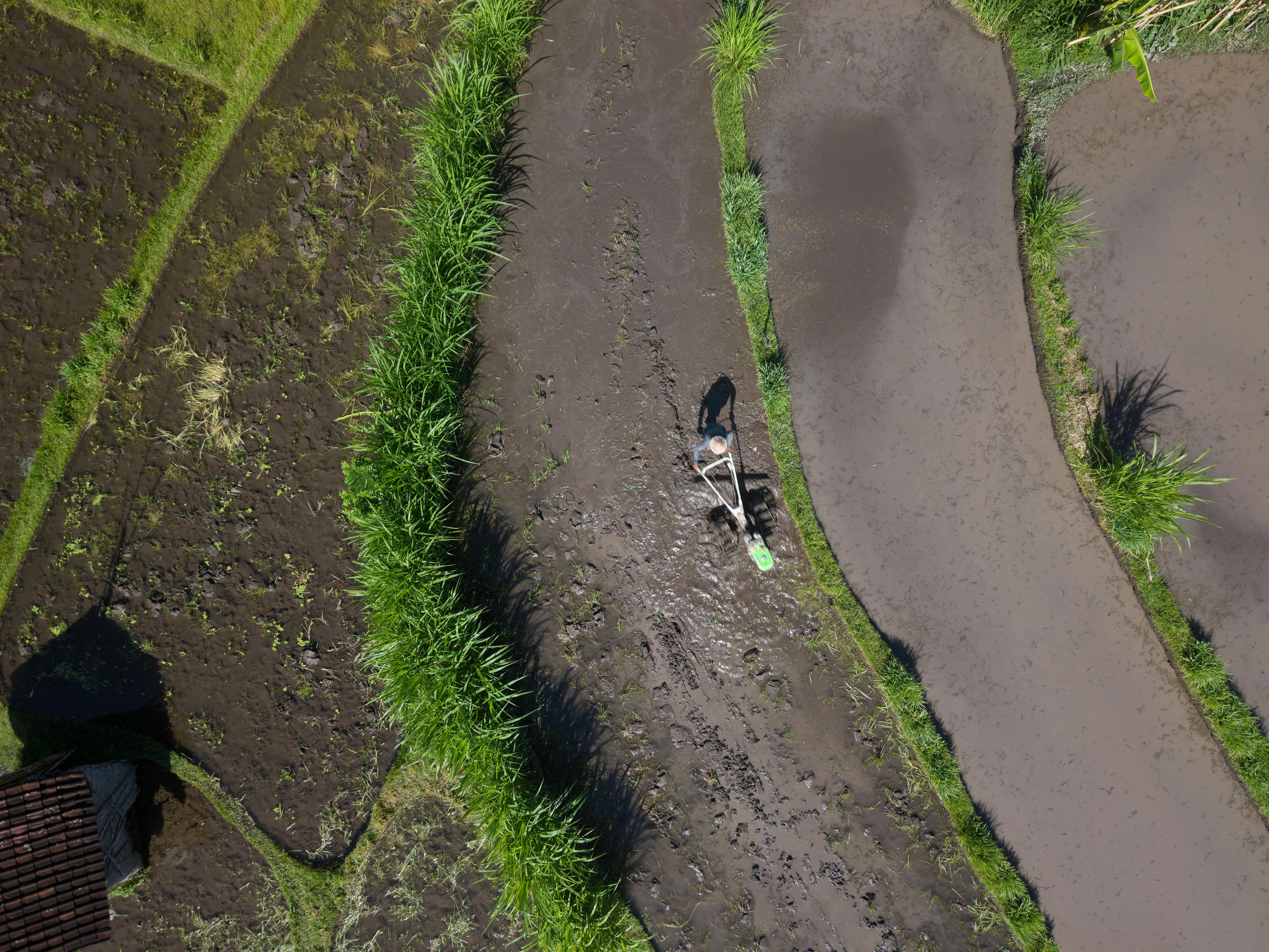 Comoros Agriculture Reform 2025: Vanilla Exports & Rice