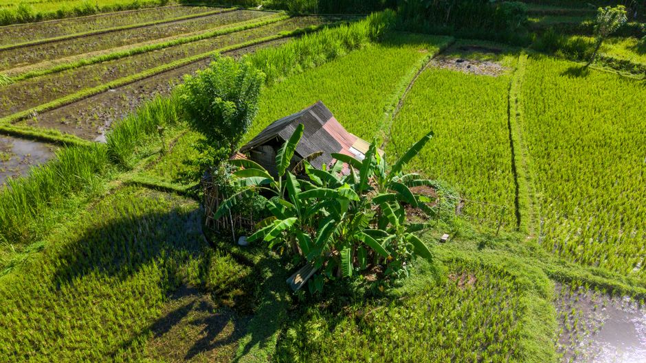 Photography Studios Bali